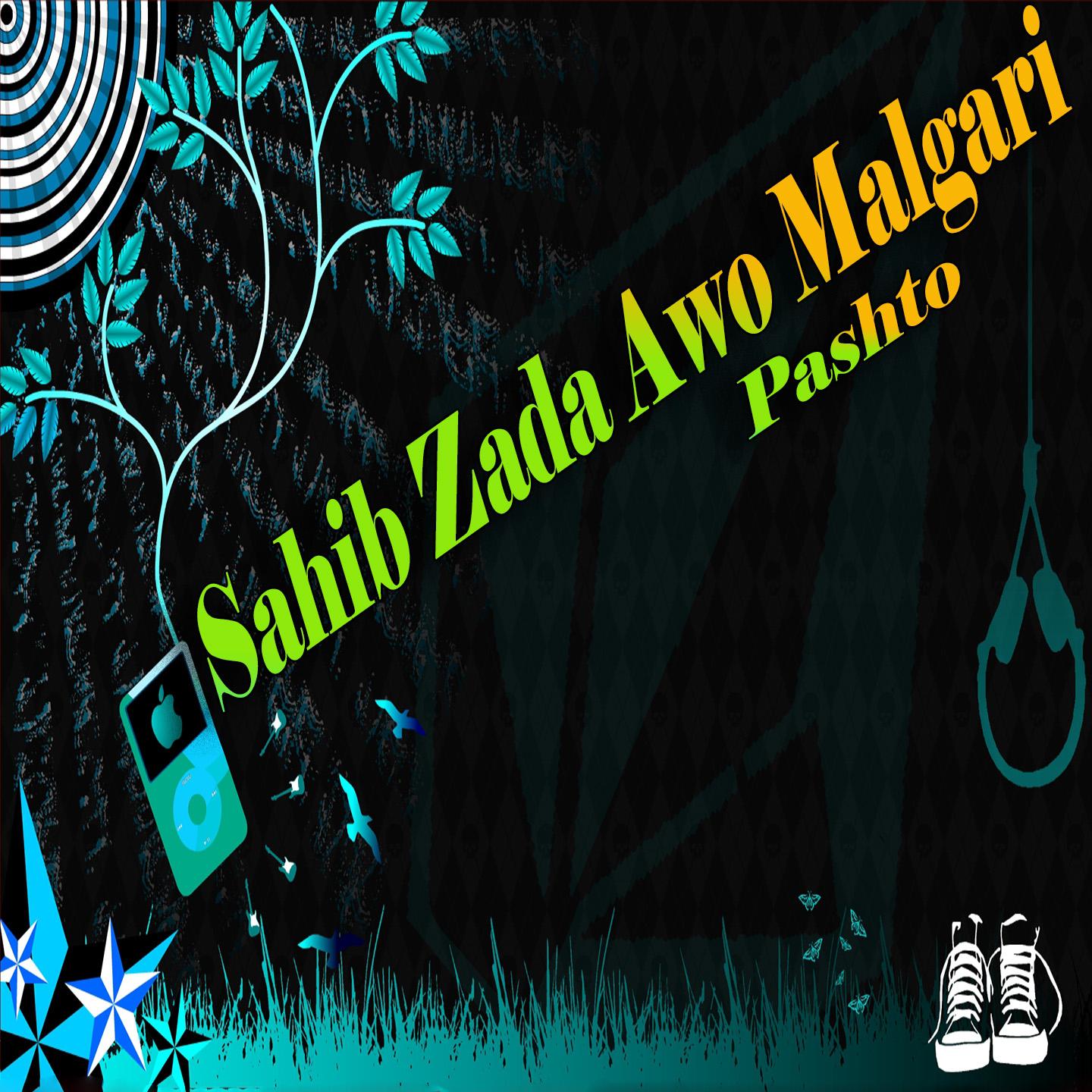 Постер альбома Sahib Zada Awo Malgari