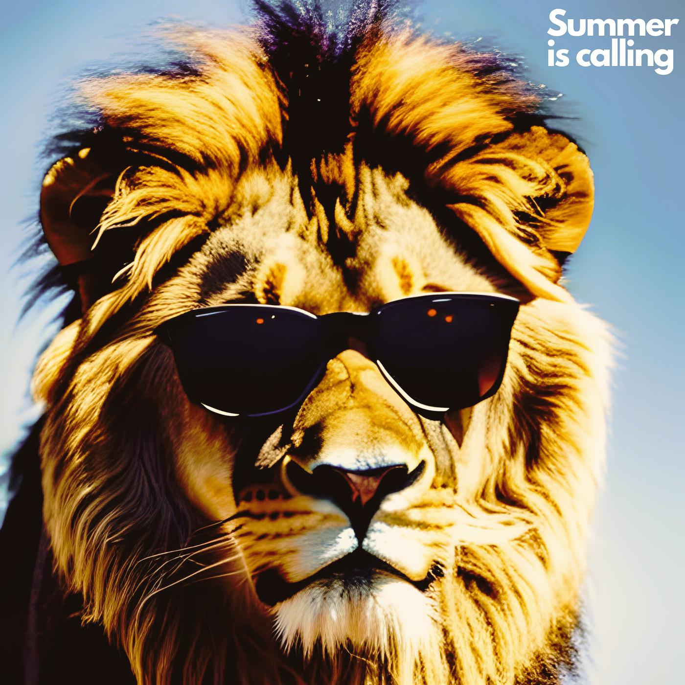 Постер альбома Summer Is Calling