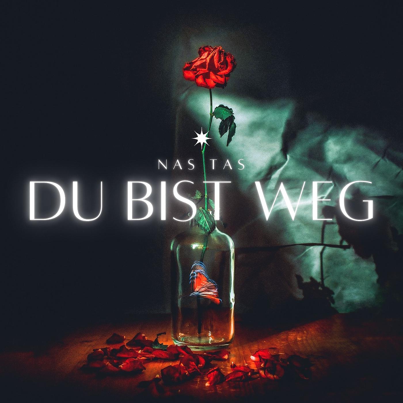 Постер альбома Du Bist Weg