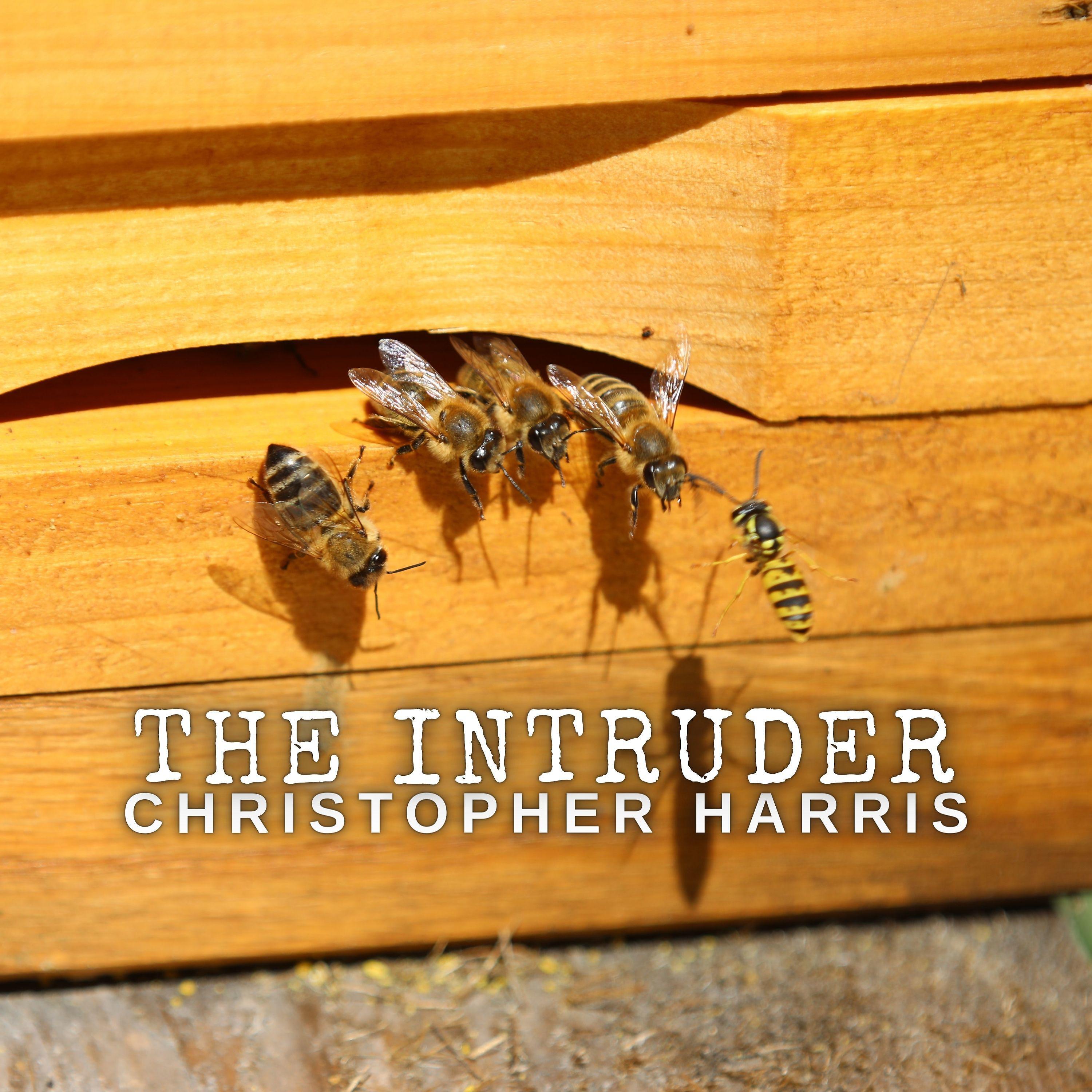 Постер альбома The Intruder