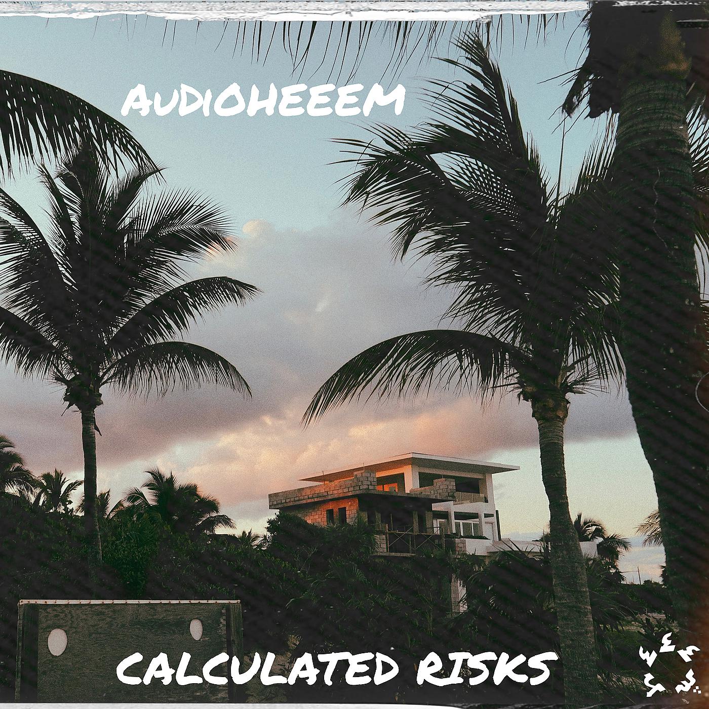 Постер альбома Calculated Risks