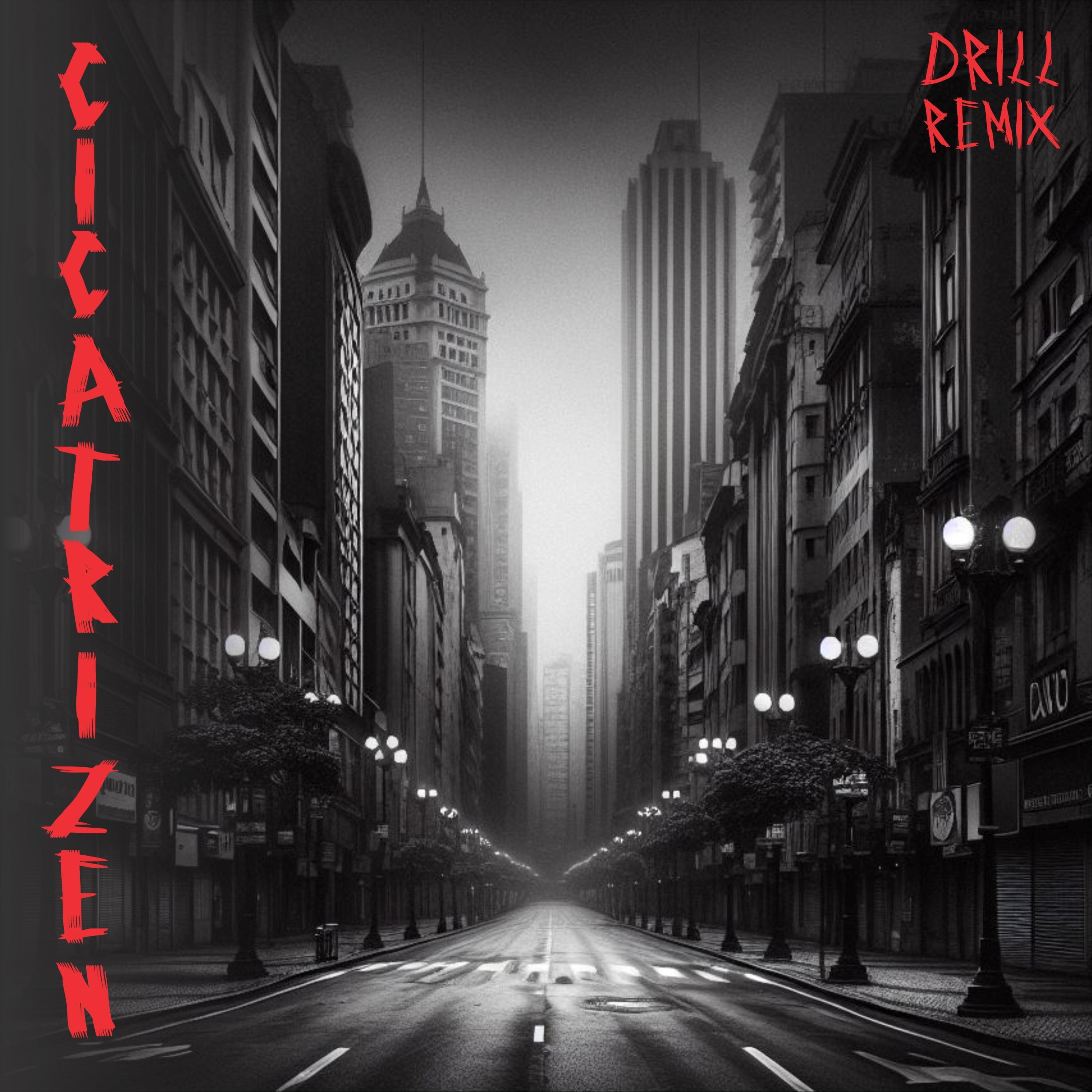 Постер альбома Cicatri'zen (Drill Remix)