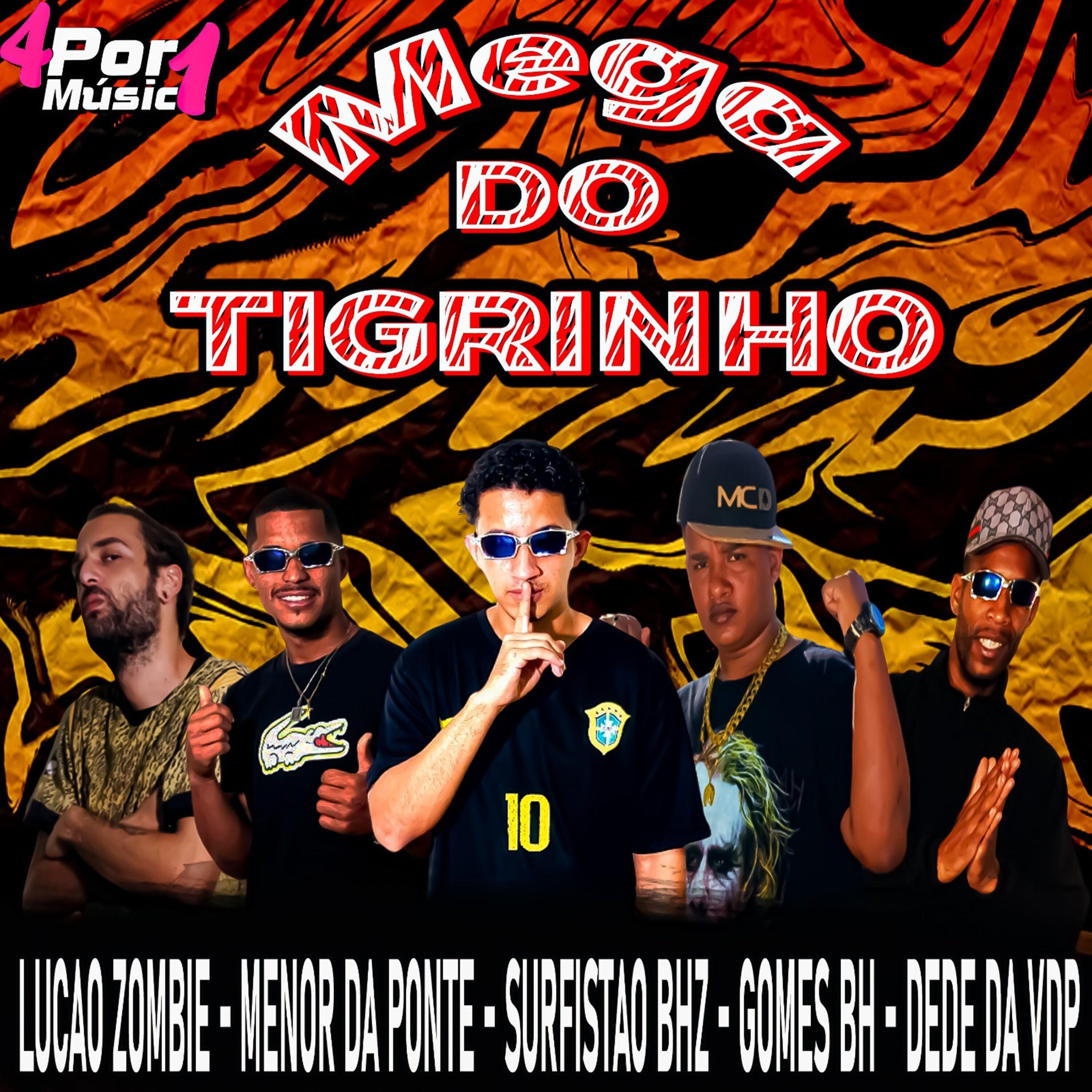 Постер альбома Mega do Tigrinho