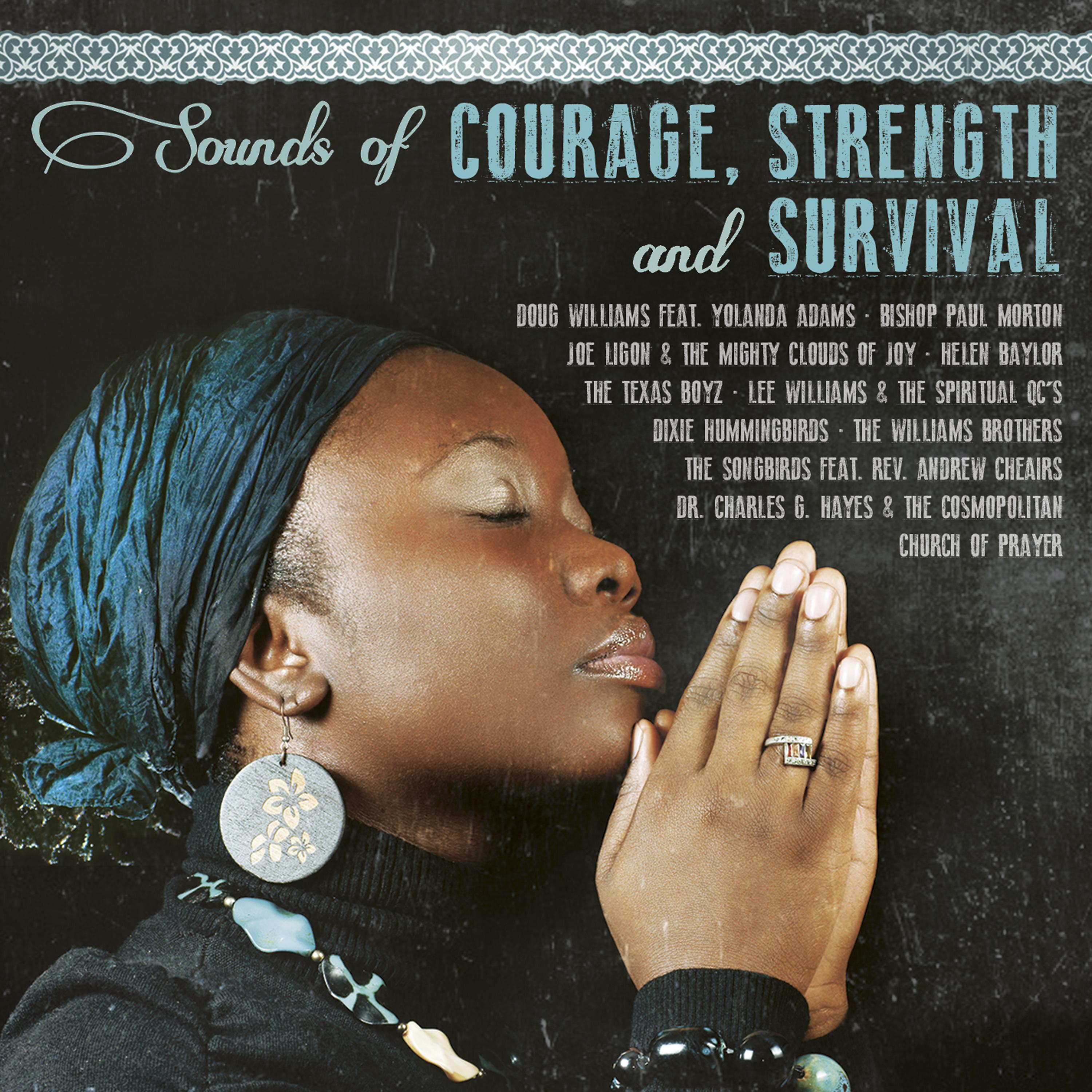 Постер альбома Sounds of Courage, Strength & Survival
