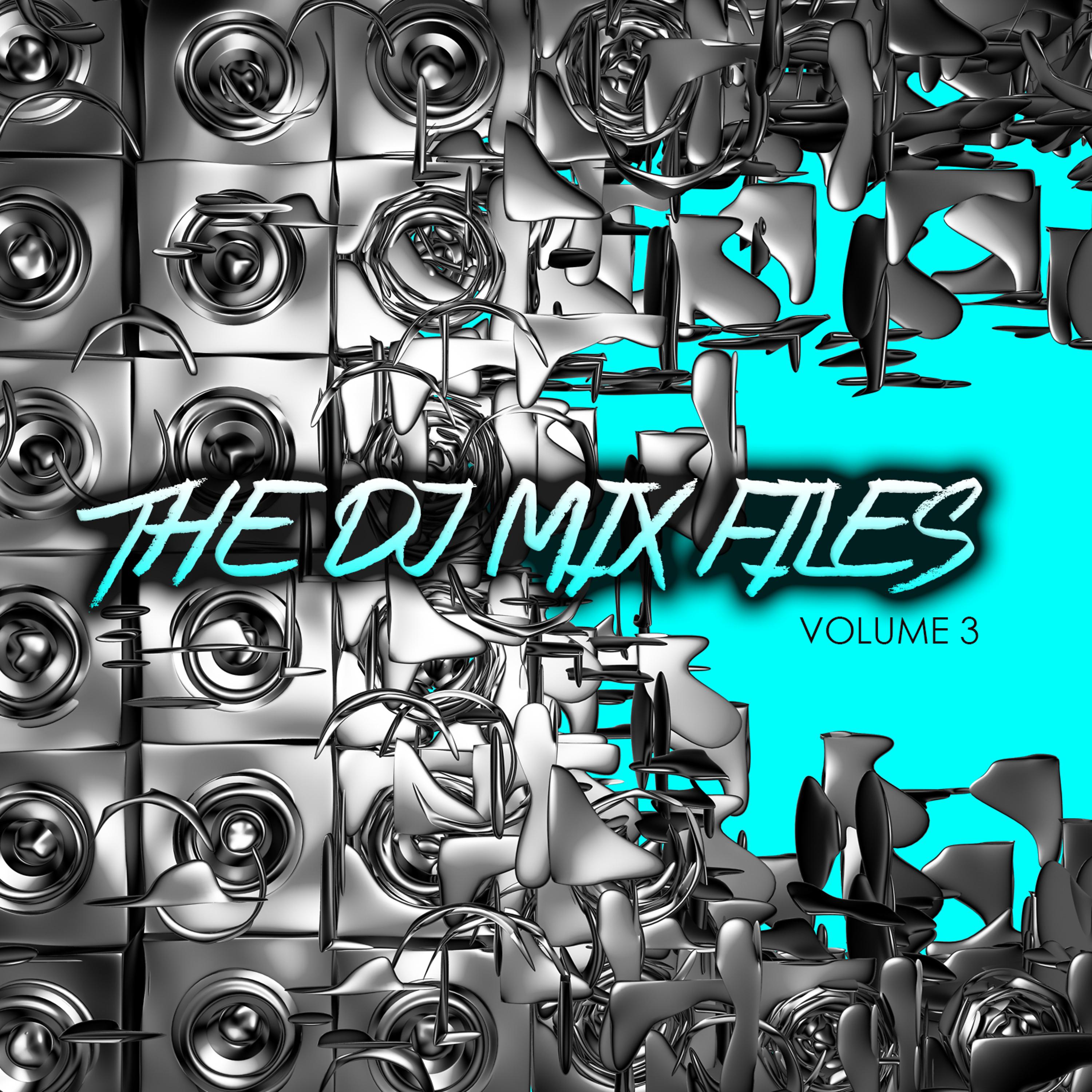 Постер альбома The DJ Mix Files, Vol. 3