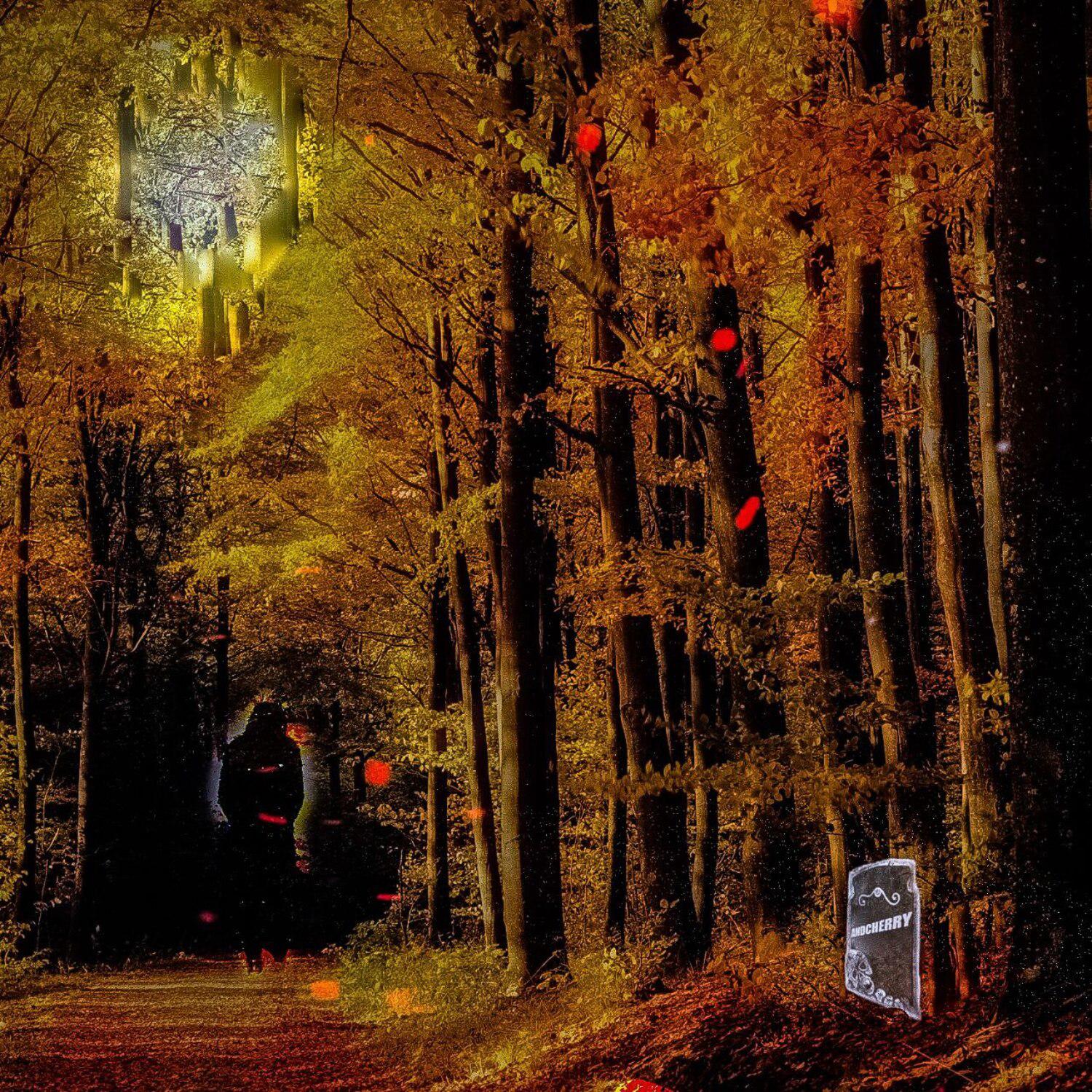 Постер альбома Decomposing Autumn