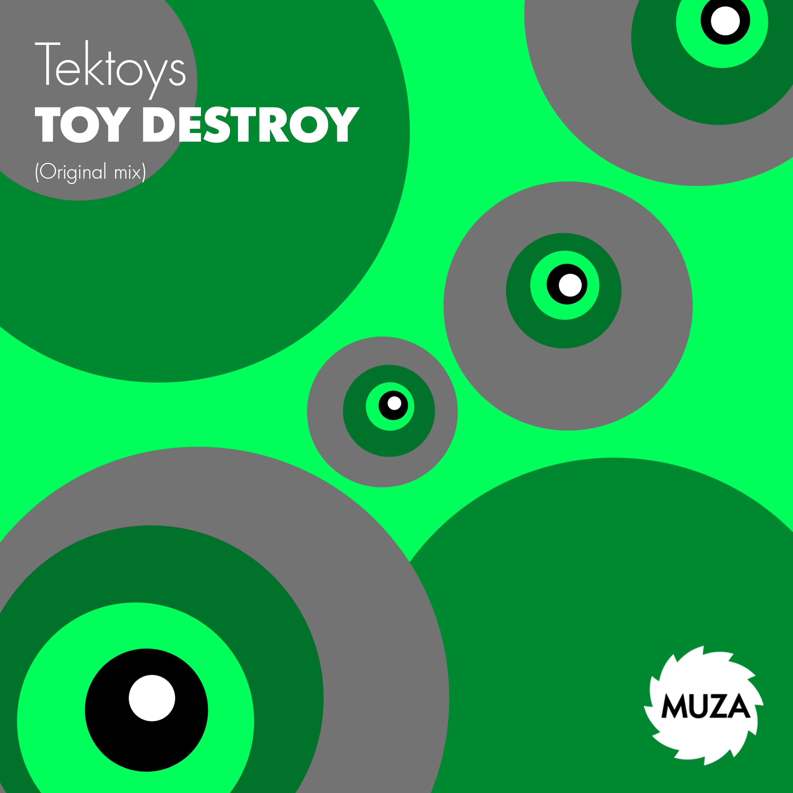 Постер альбома Toy Destroy