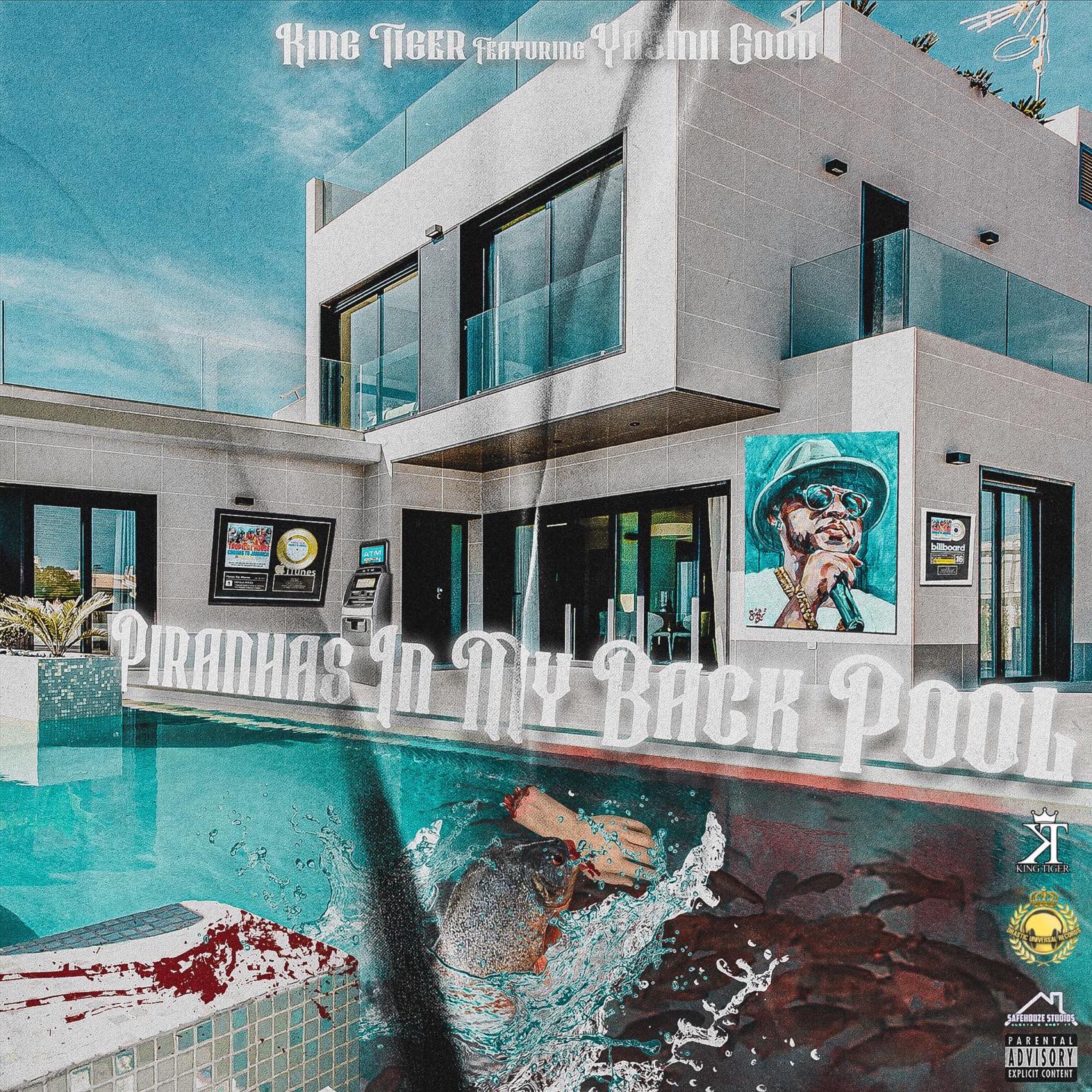 Постер альбома Piranhas In My Back Pool (feat. Yasmii Good)