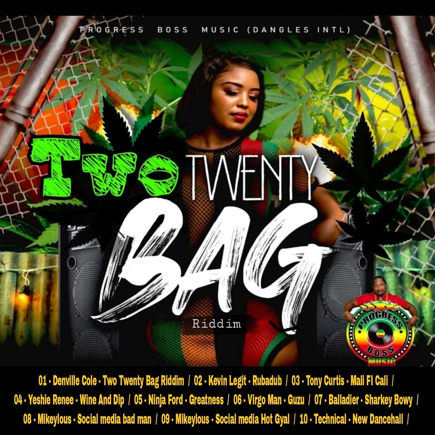Постер альбома Two Twenty Bag Riddim