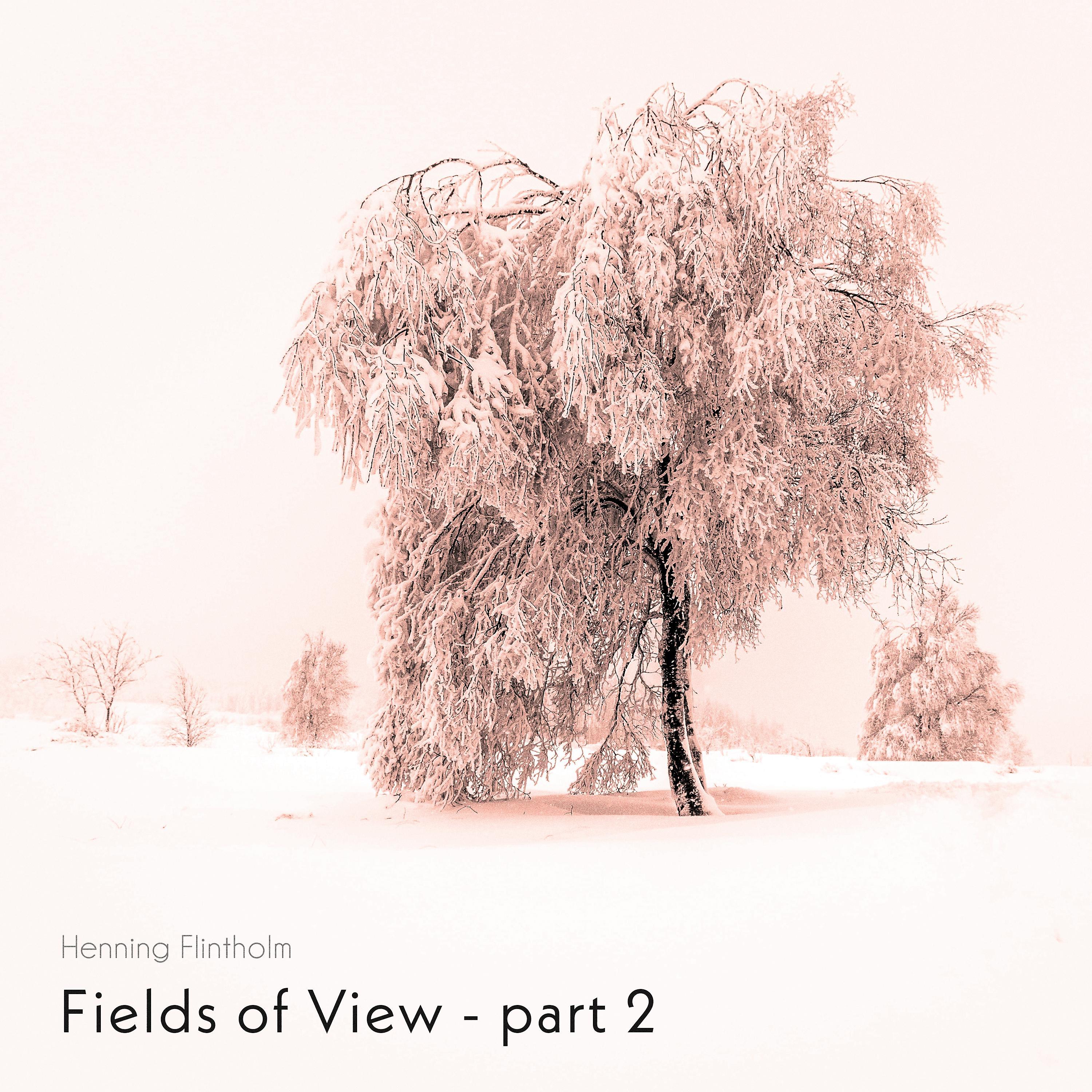 Постер альбома Fields of View, Pt. 2