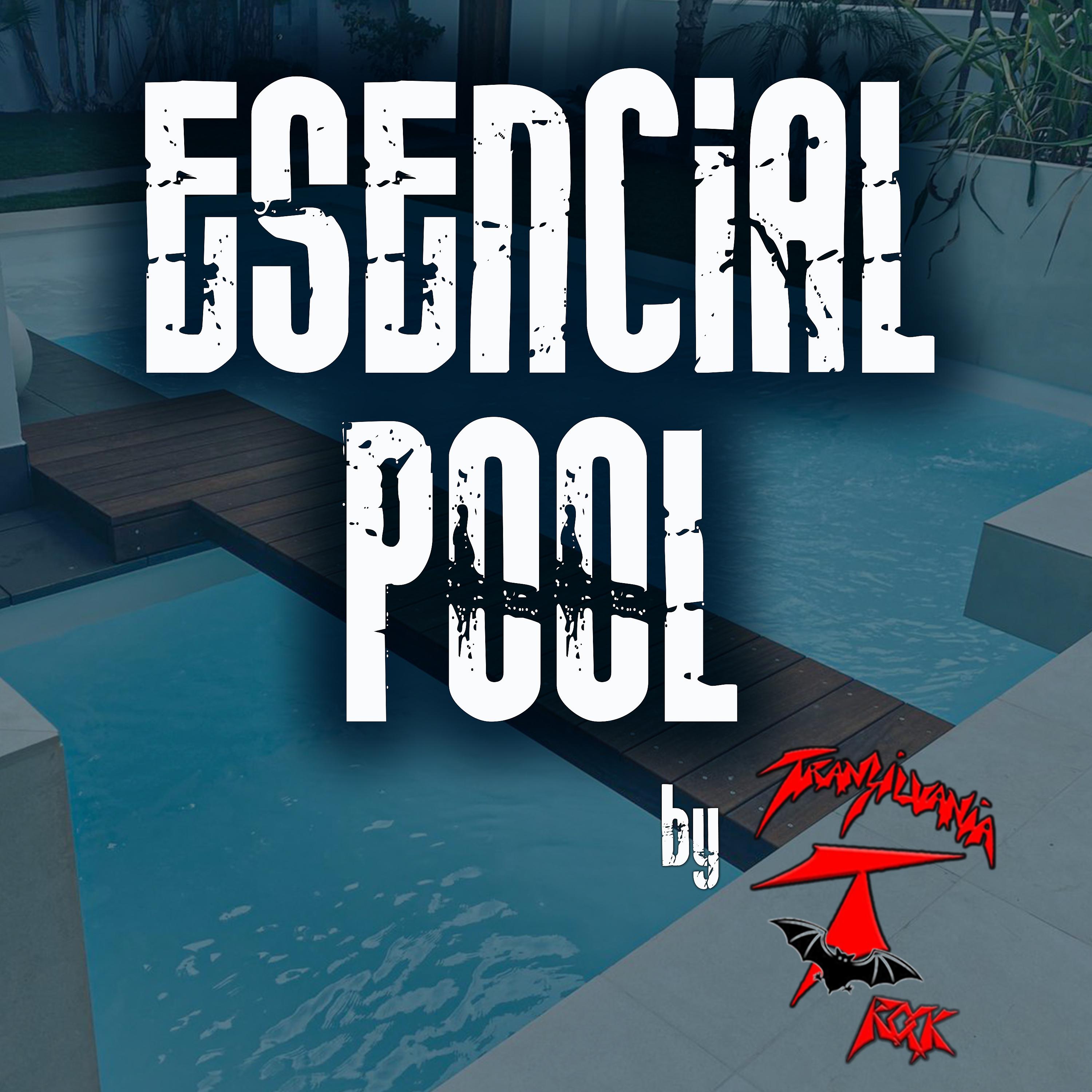 Постер альбома Esencial Pool