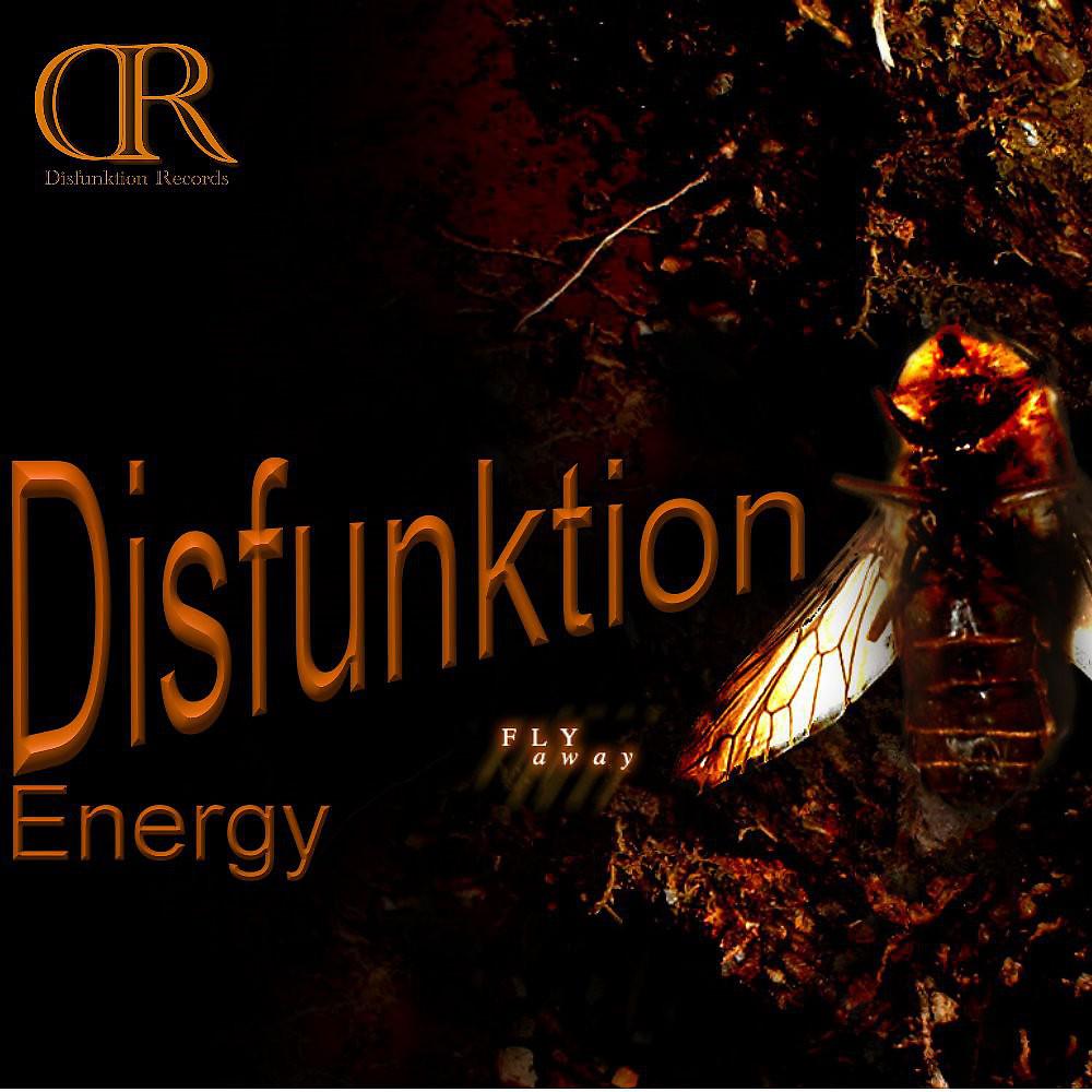 Постер альбома Disfunktion Energy
