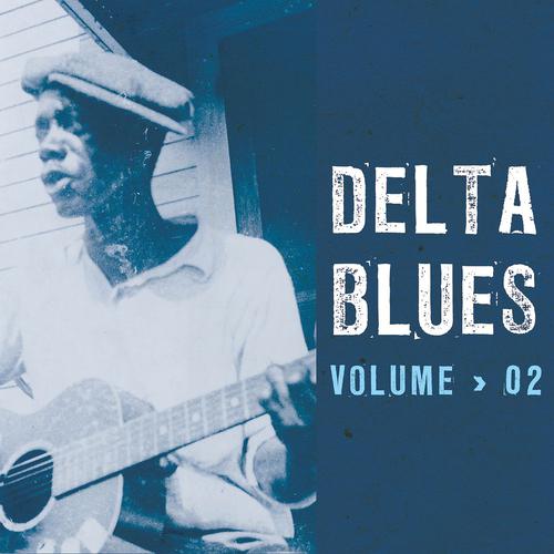 Постер альбома Delta Blues, Vol. 2