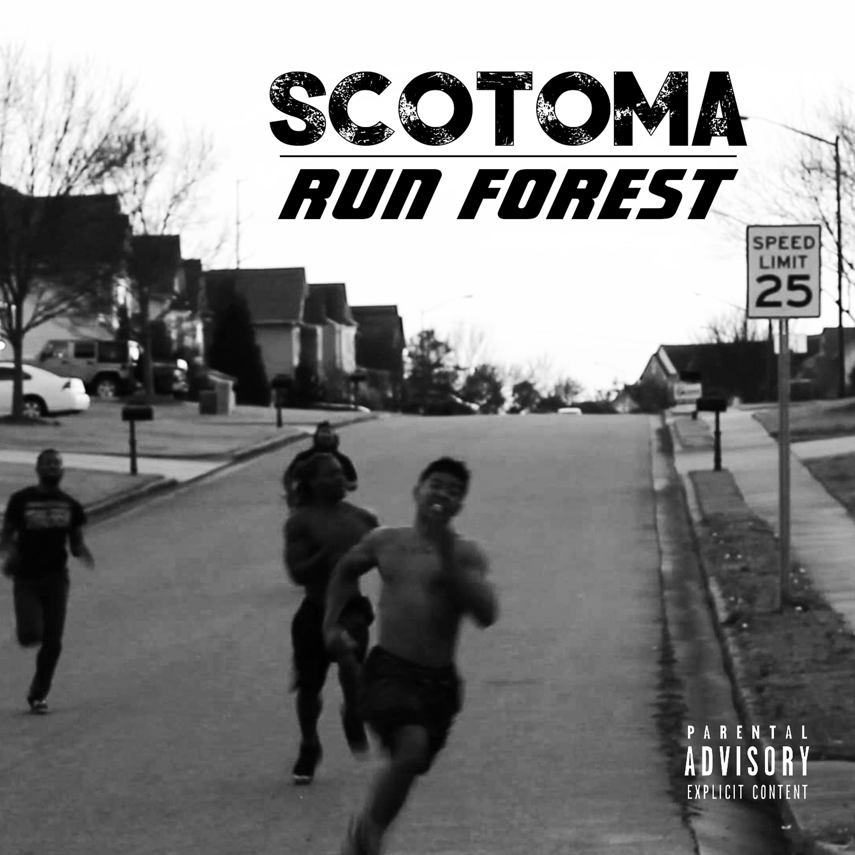 Постер альбома Run Forest (Run)