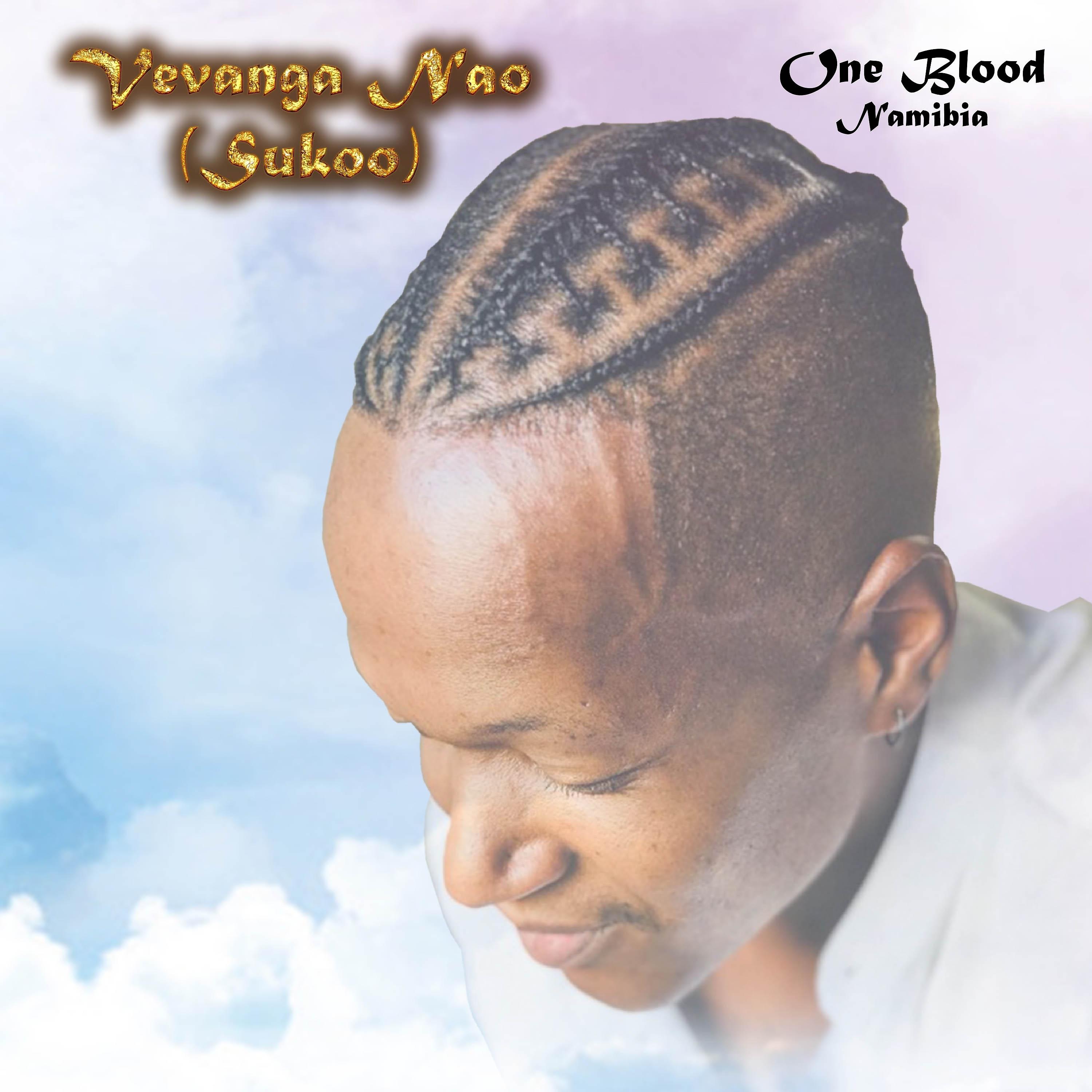 Постер альбома Vevanga Nao (Sukoo)