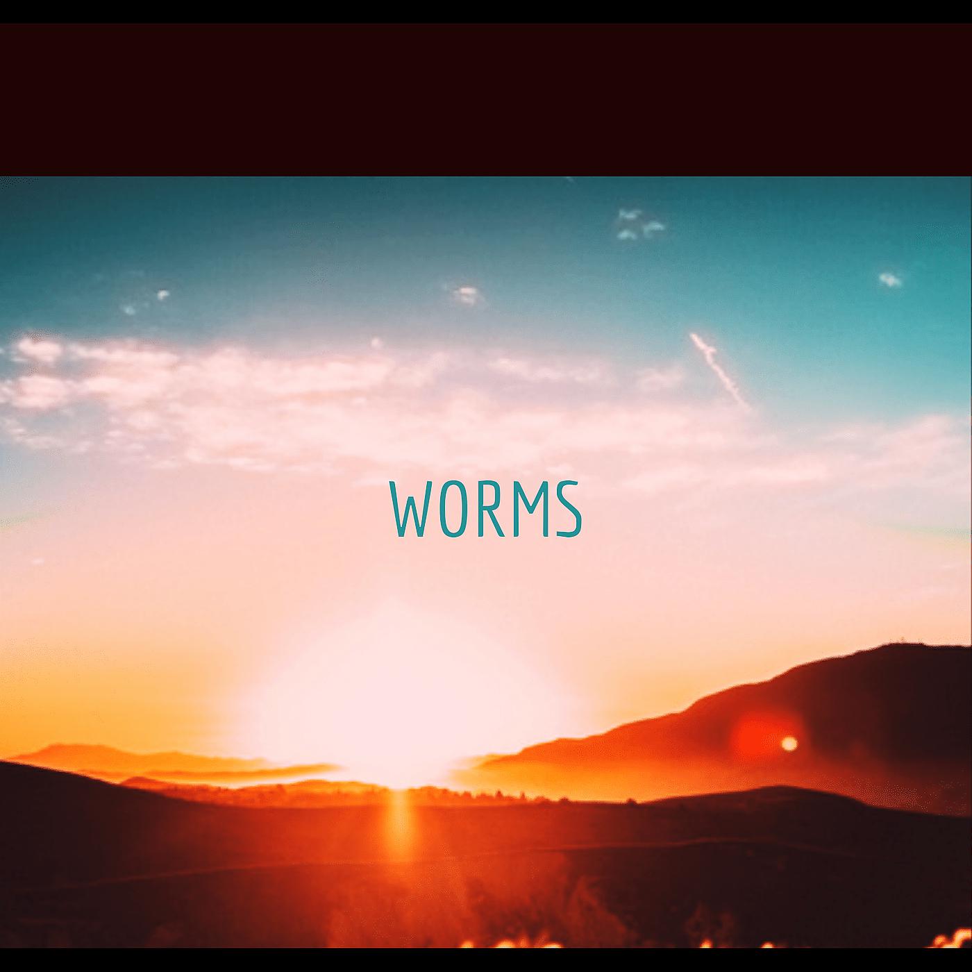 Постер альбома Worms