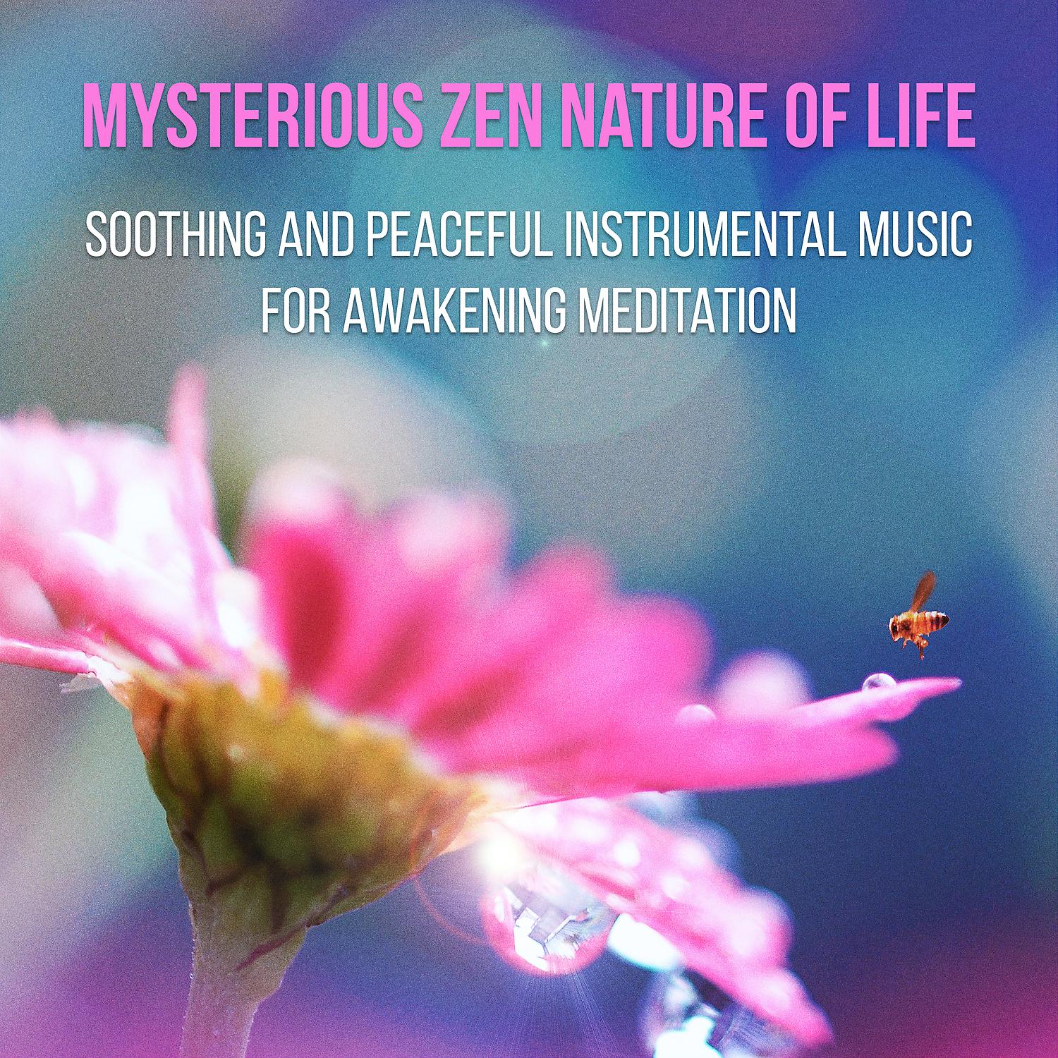 Постер альбома Mysterious Zen Nature of Life: Soothing and Peaceful Instrumental Music for Awakening Meditation & Yoga, Relax Your Mind, Massage & Spa