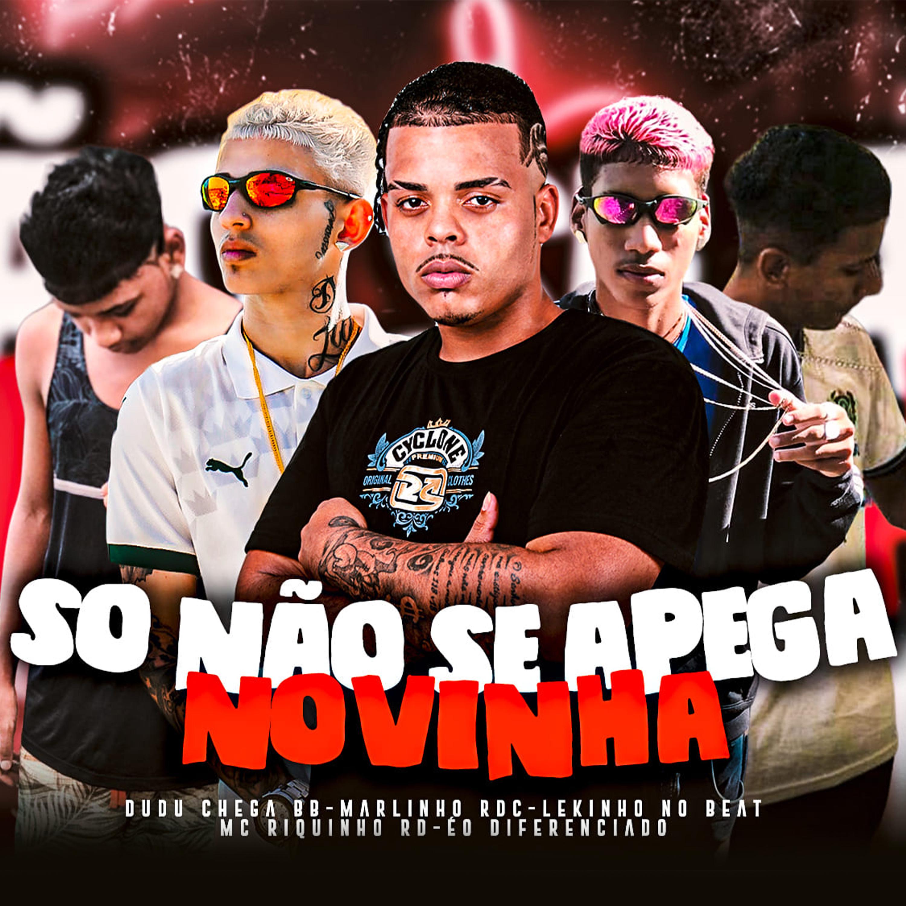 Постер альбома Não Se Apega Novinha