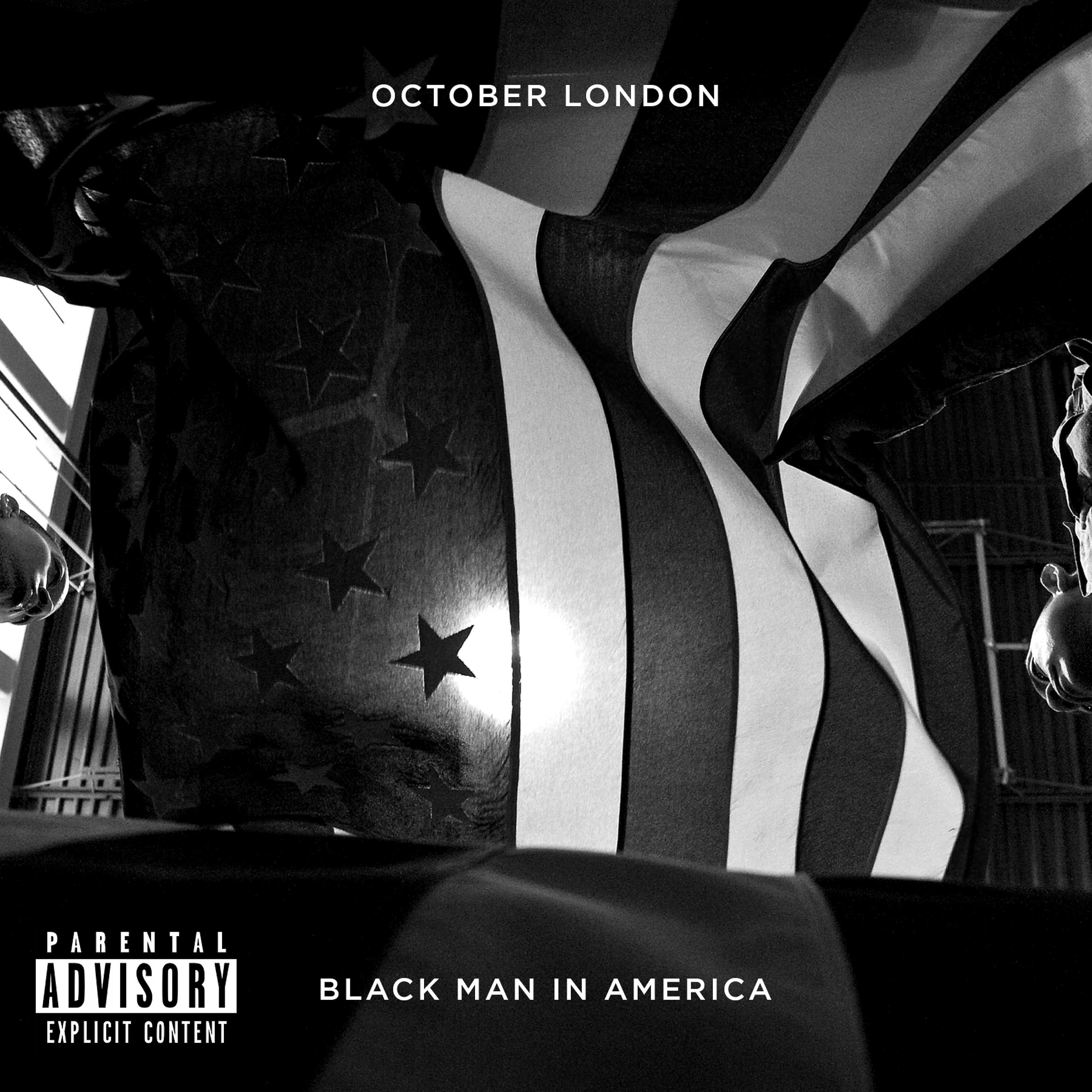 Постер альбома Black Man in America - Single
