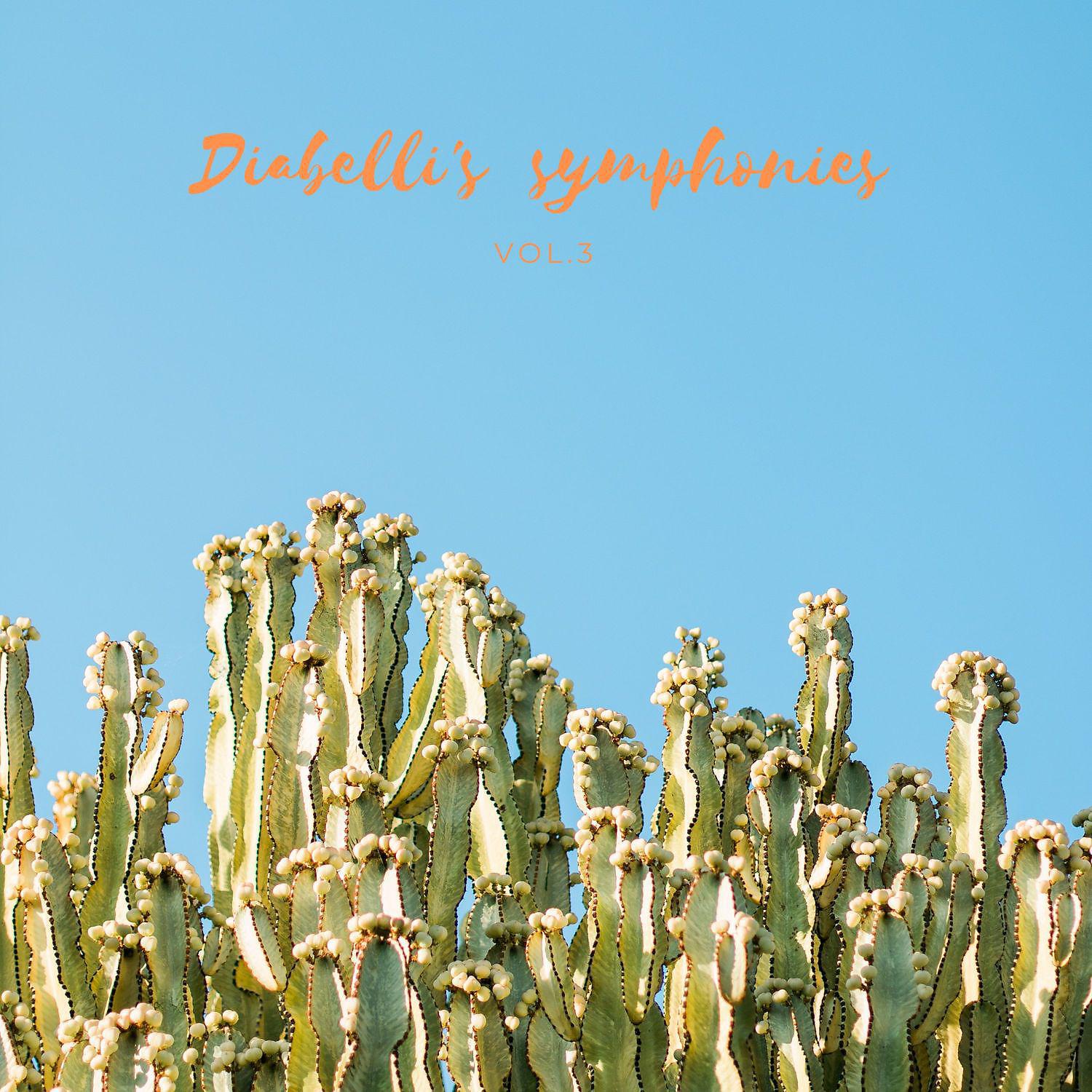 Постер альбома Diabelli's  symphonies Vol.3