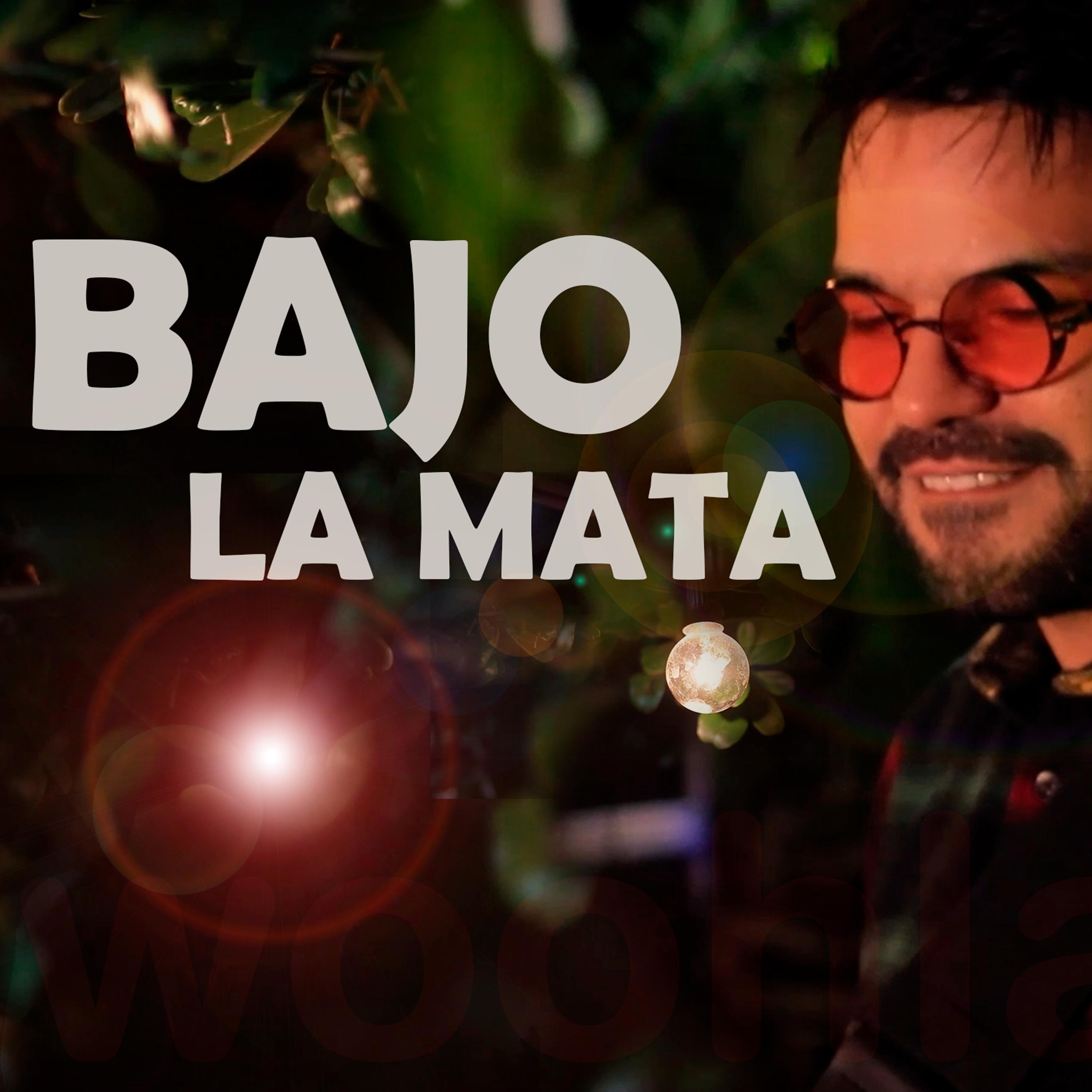 Постер альбома Bajo la Mata
