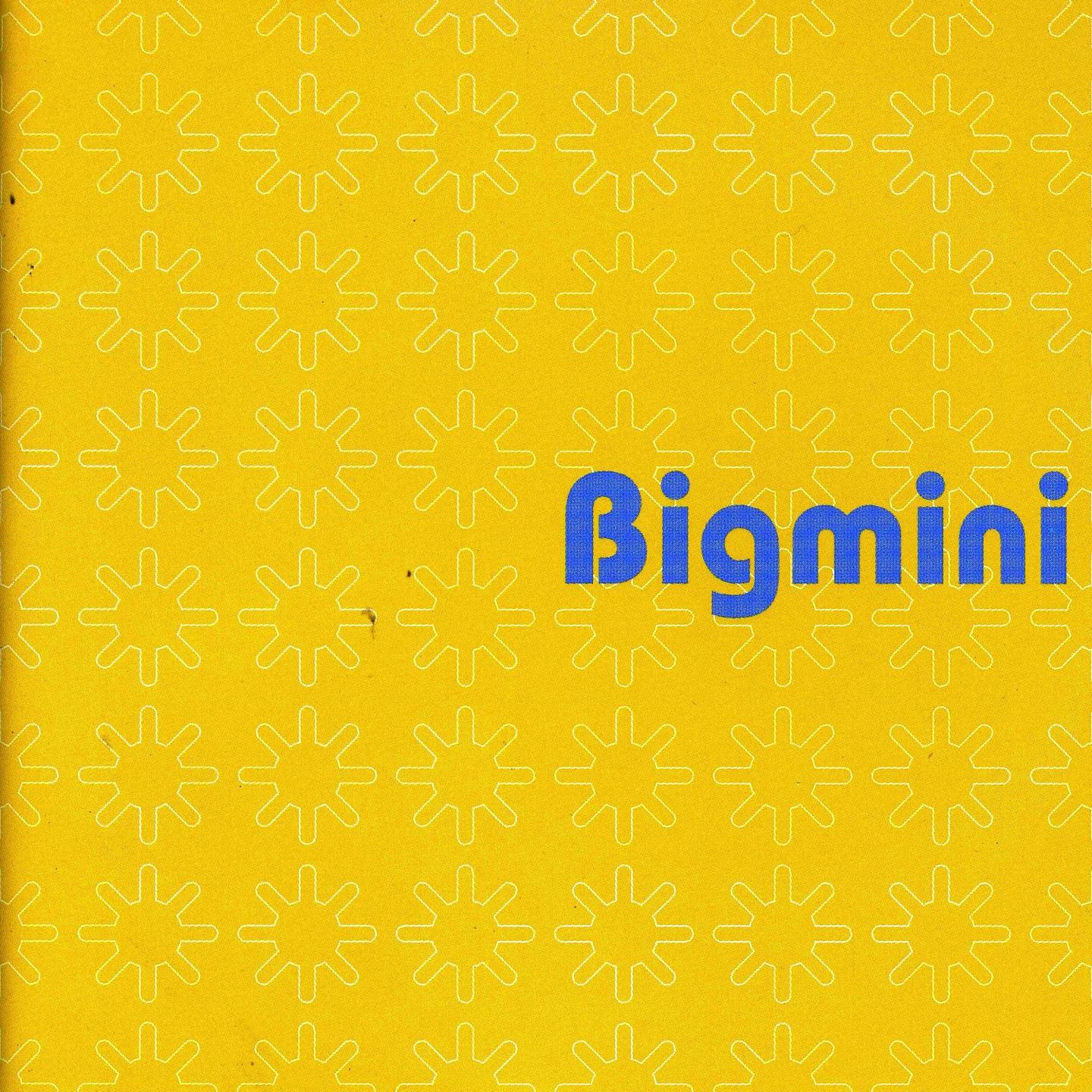 Постер альбома Bigmini
