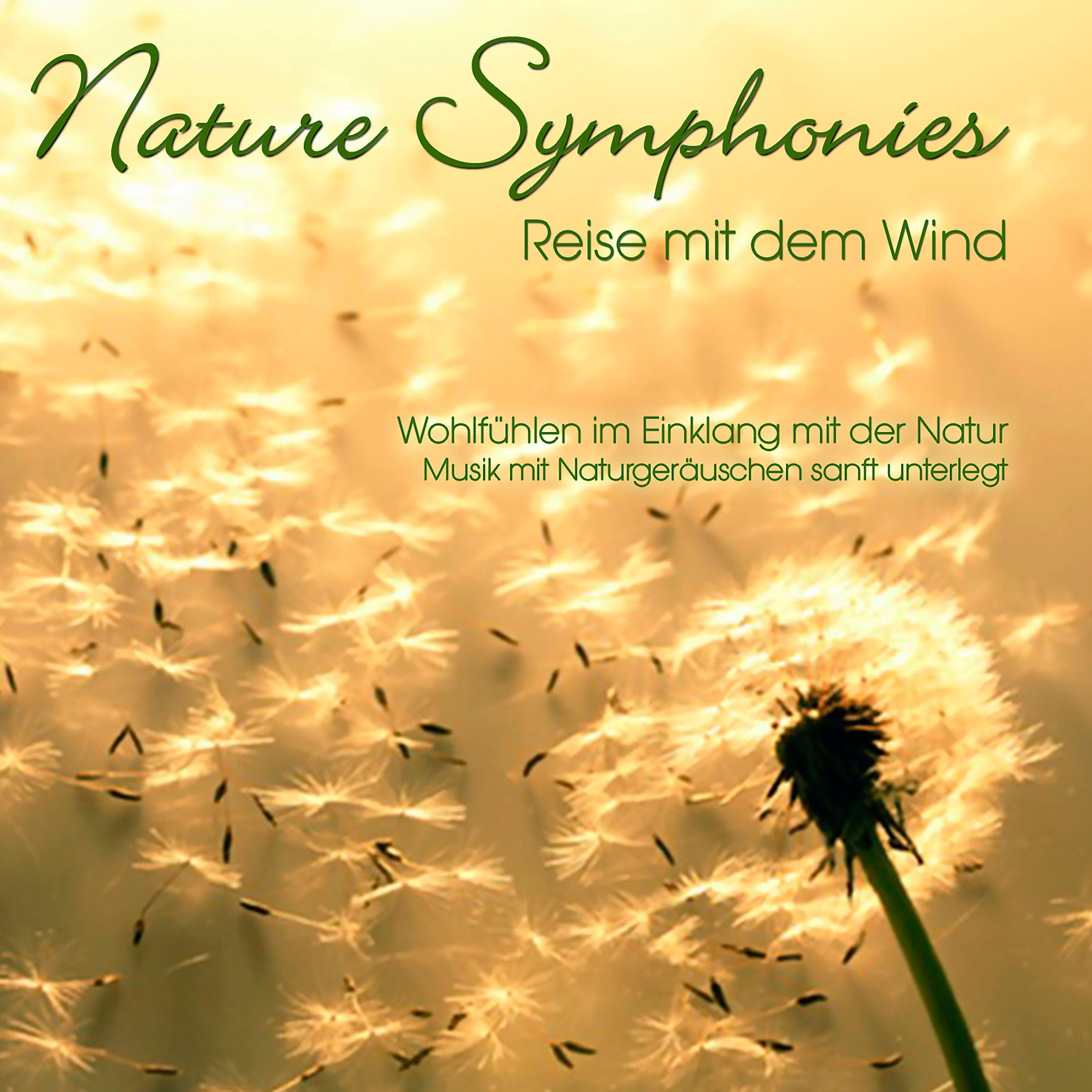 Постер альбома Nature Symphonies: Reise mit dem Wind
