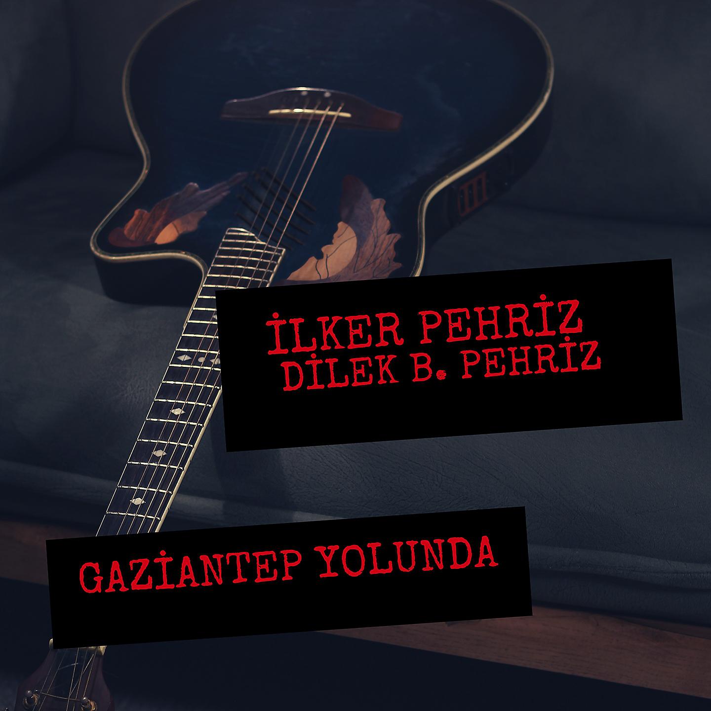 Постер альбома Gaziantep Yolunda