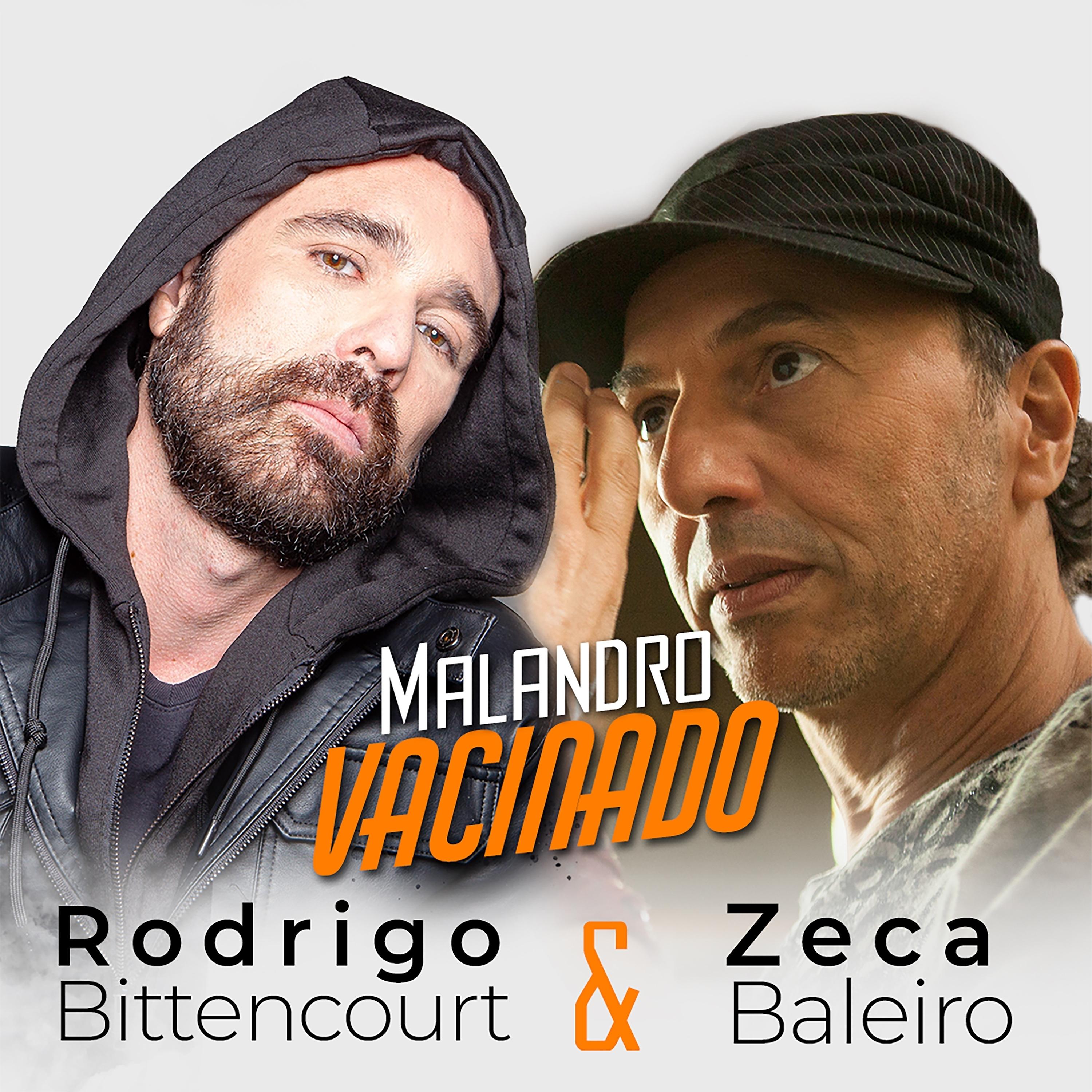 Постер альбома Malandro Vacinado
