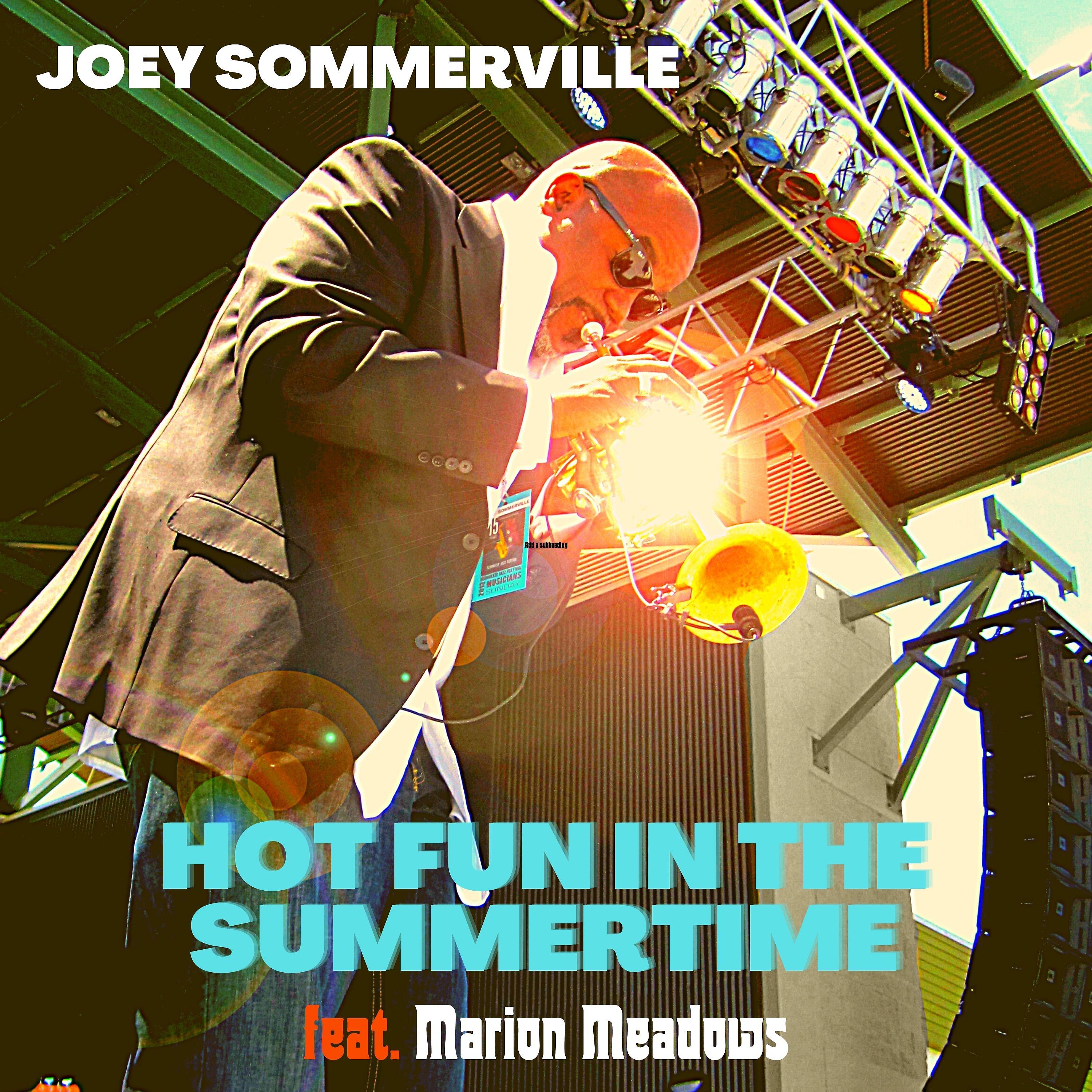 Постер альбома Hot Fun in the Summertime