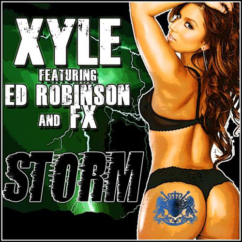 Постер альбома Storm - Single