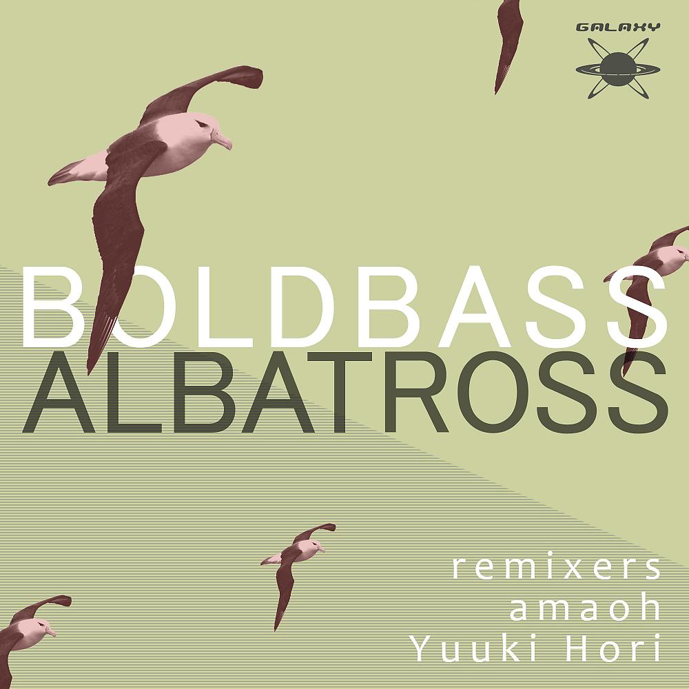 Постер альбома Albatross
