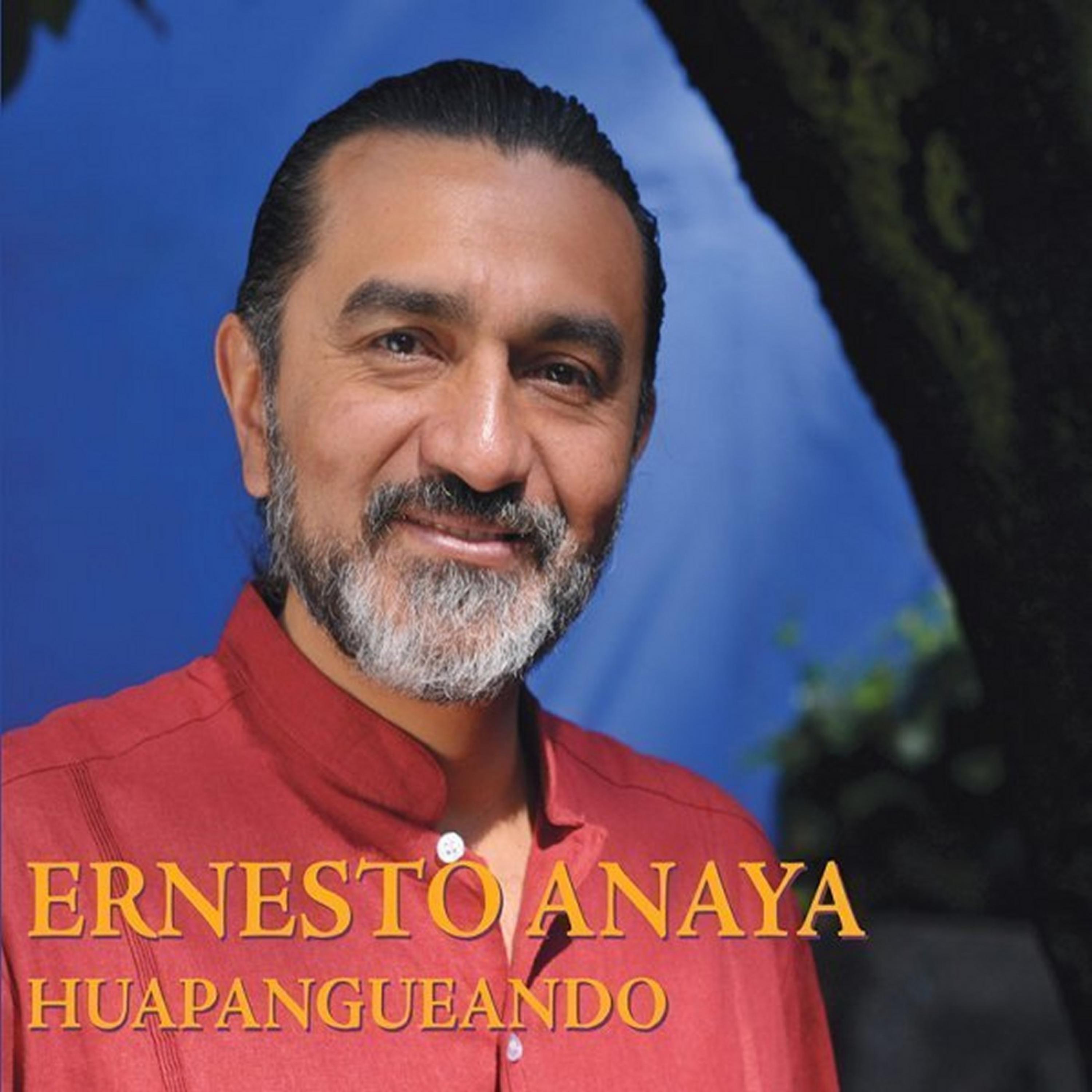Постер альбома Huapangueando