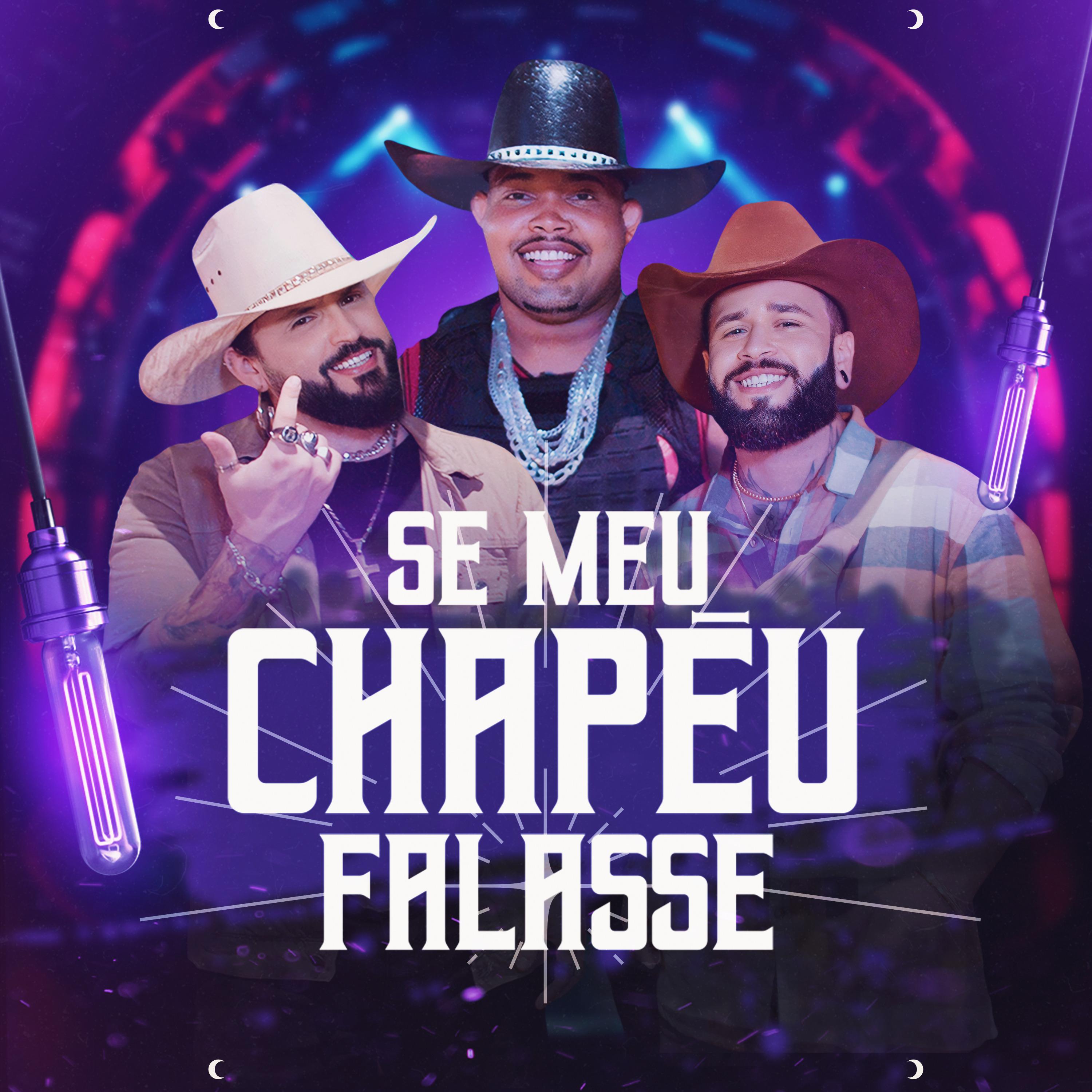 Постер альбома Se Meu Chapéu Falasse