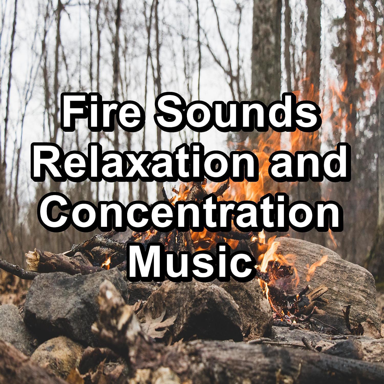 Постер альбома Fire Sounds Relaxation and Concentration Music