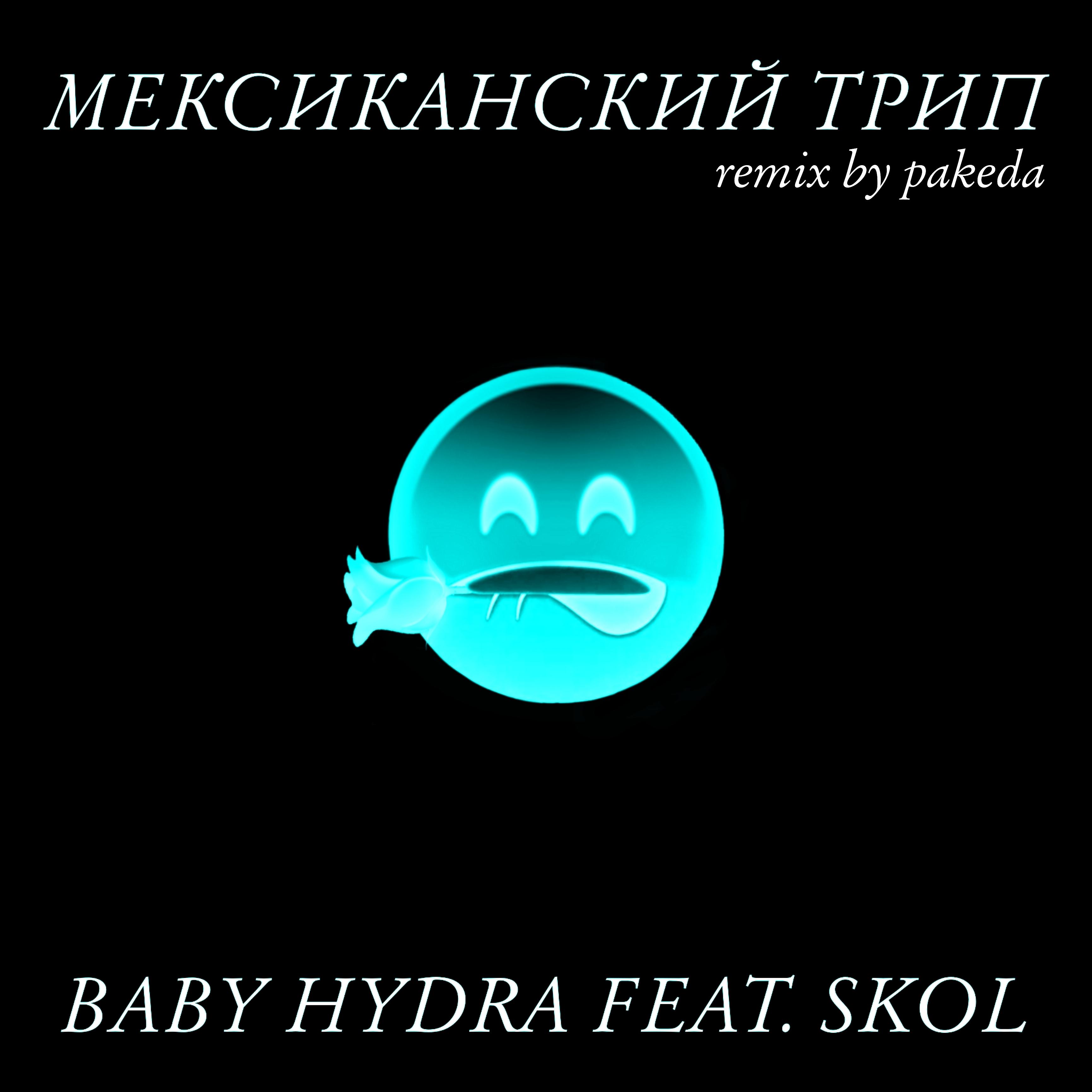 Постер альбома Мексиканский трип (feat. Skol) [Remix by Pakeda]