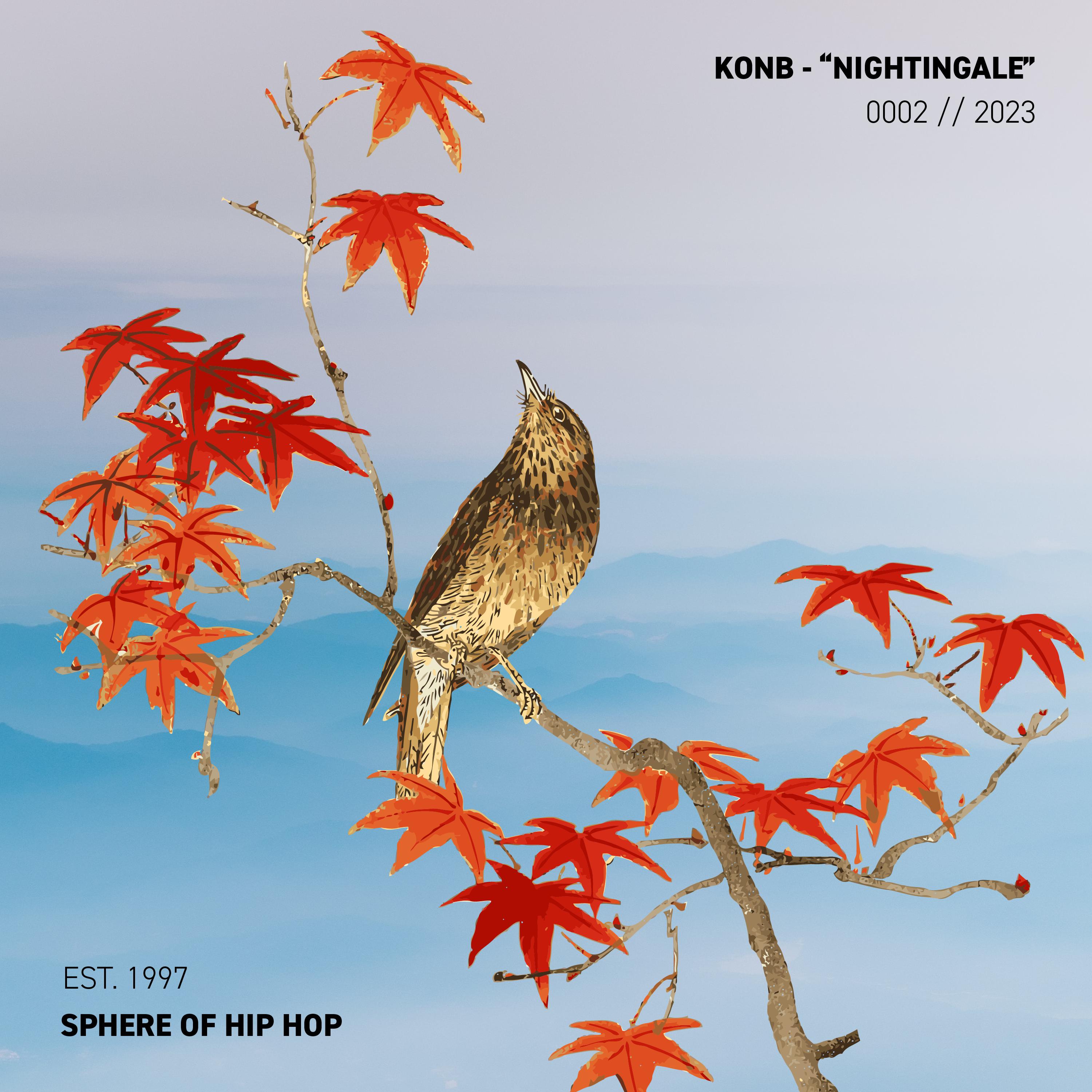Постер альбома Nightingale