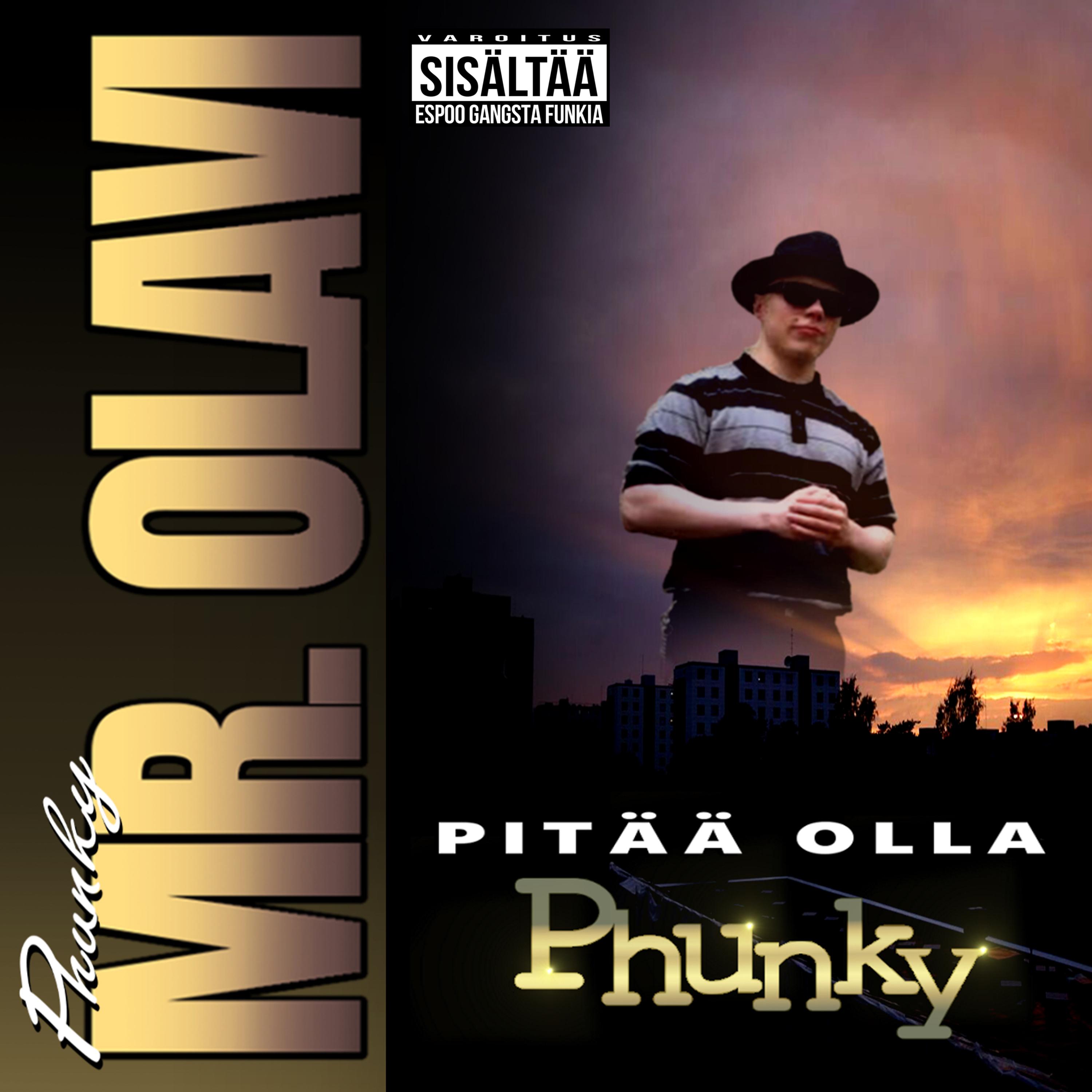 Постер альбома Pitää olla phunky
