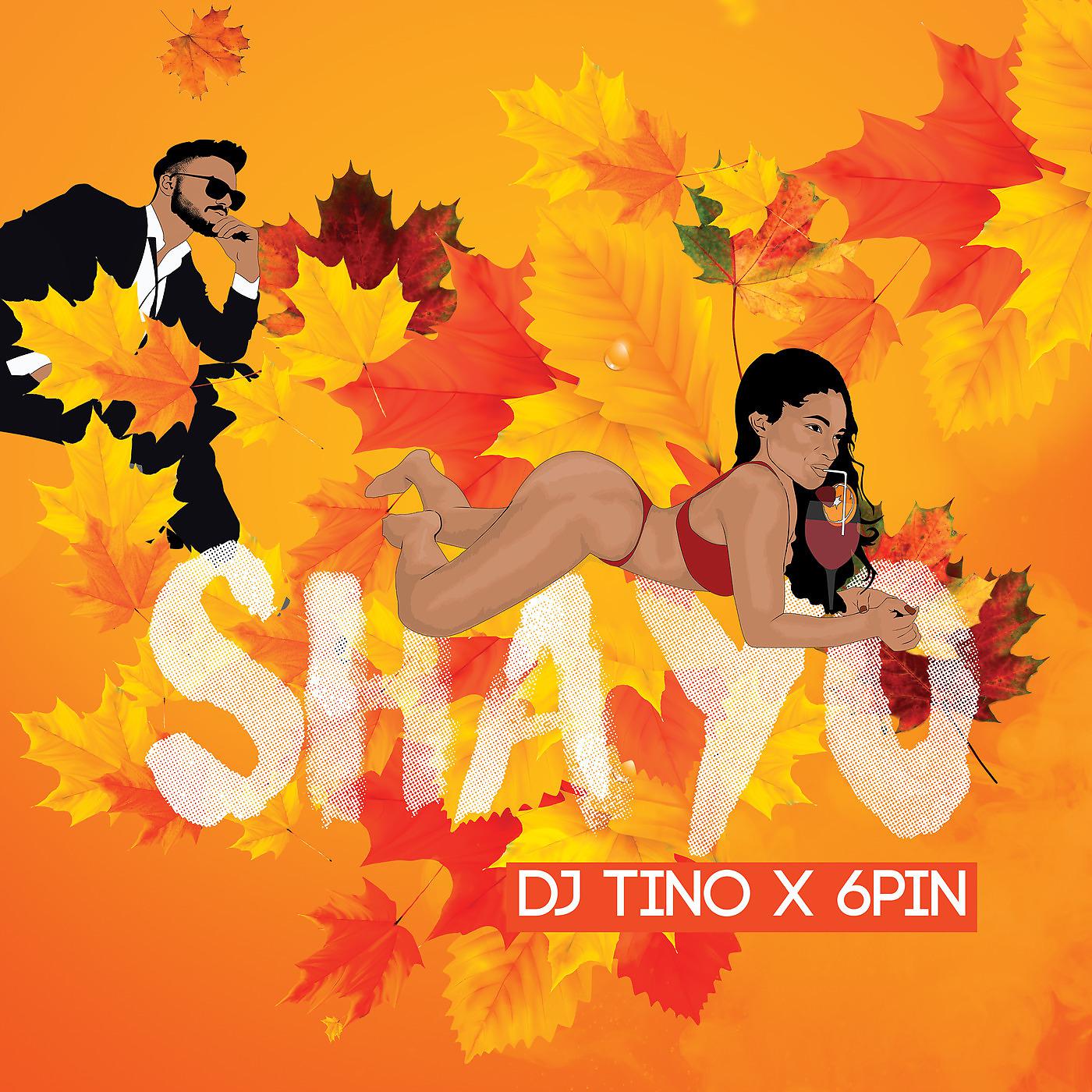 Постер альбома Shayo