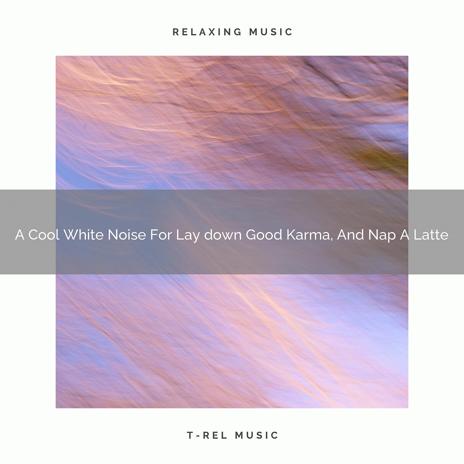 Постер альбома A Cool White Noise For Lay down Good Karma, And Nap A Latte
