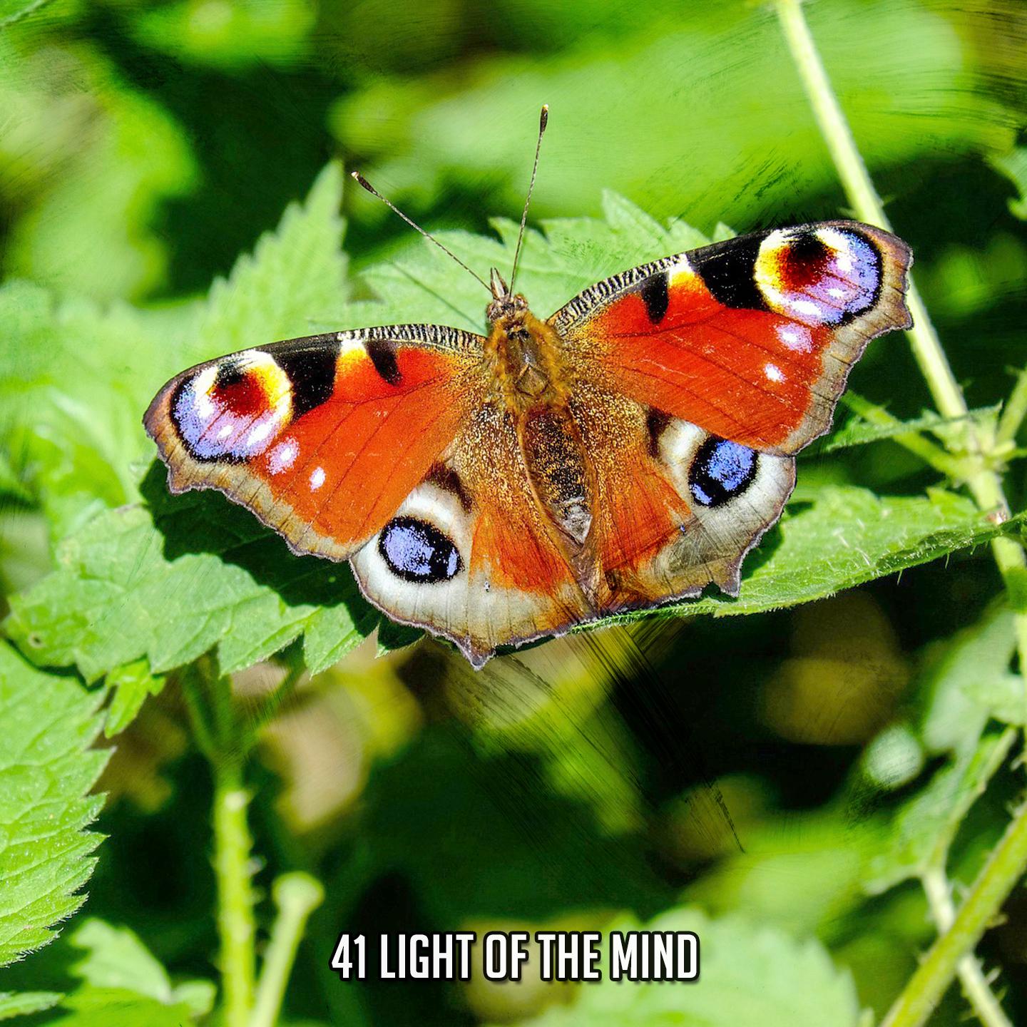 Постер альбома 41 Light Of The Mind