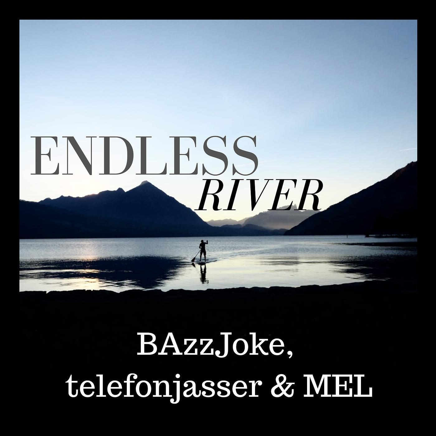Постер альбома Endless River