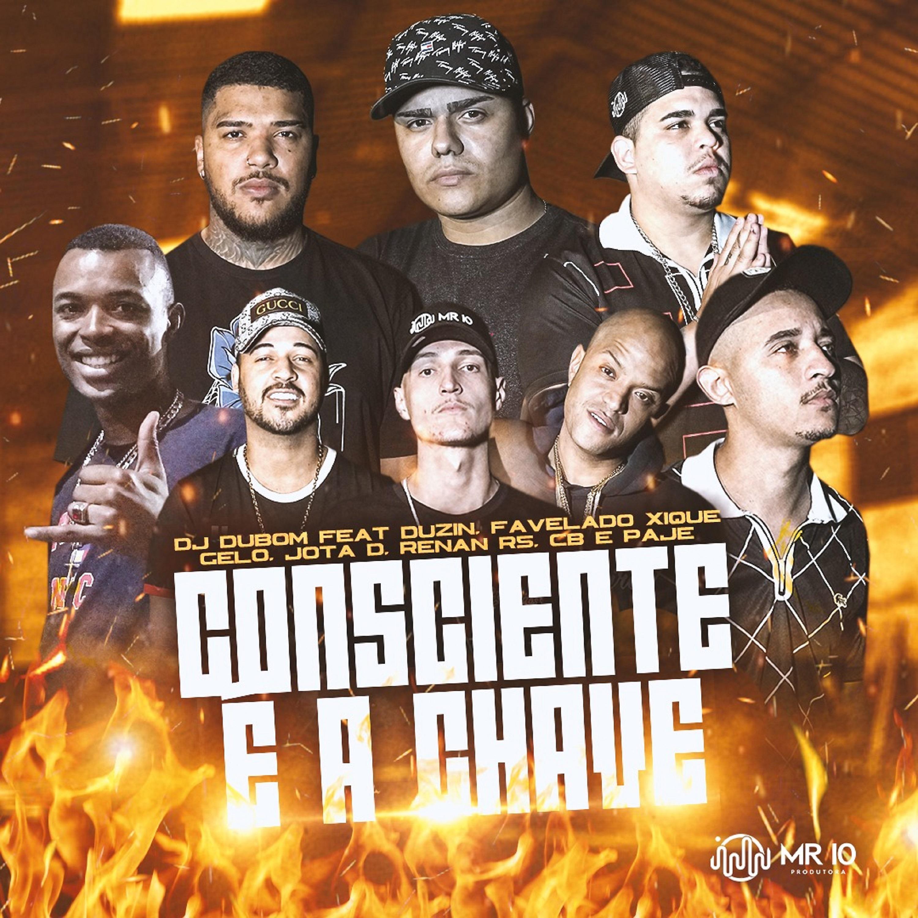 Постер альбома Consciente É a Chave