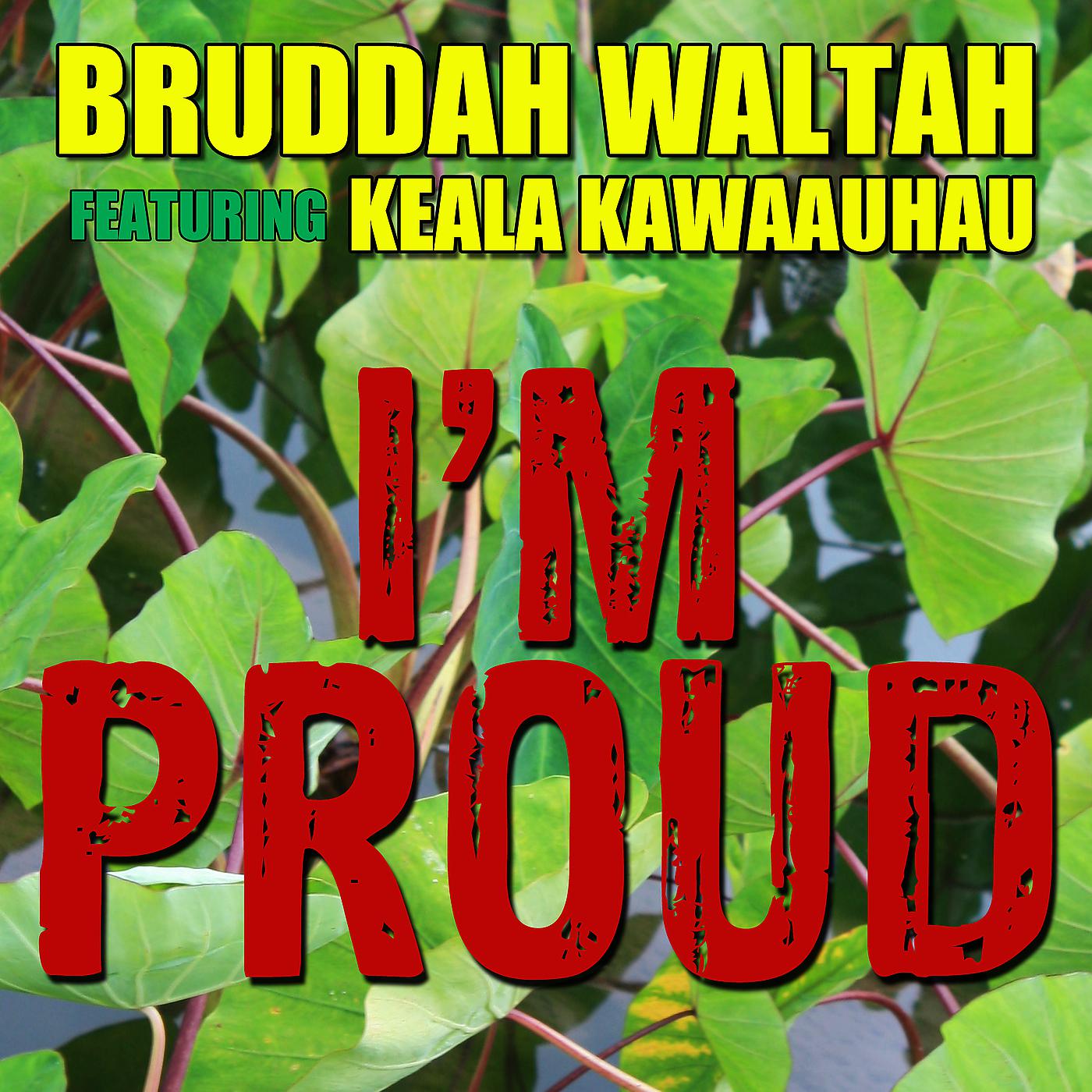 Постер альбома I'm Proud (feat. Keala Kawaauhau)