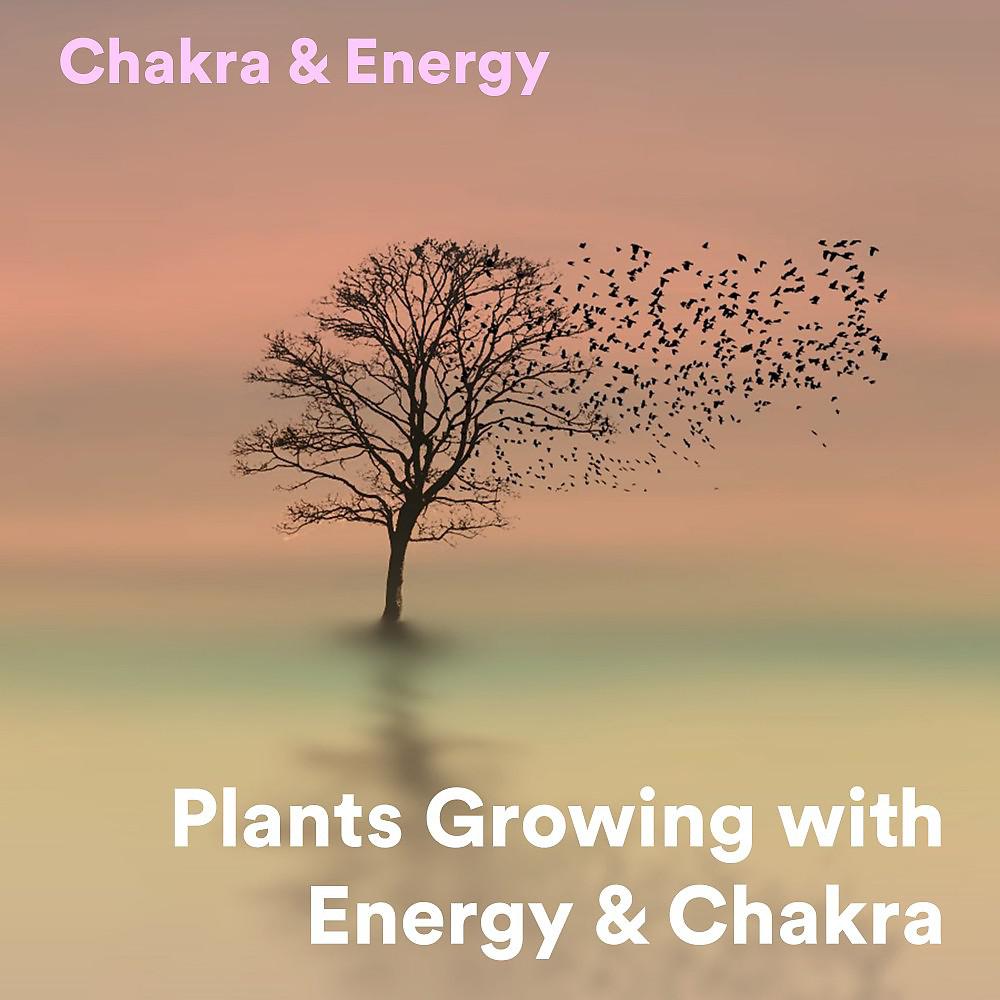Постер альбома Plants Growing with Energy & Chakra