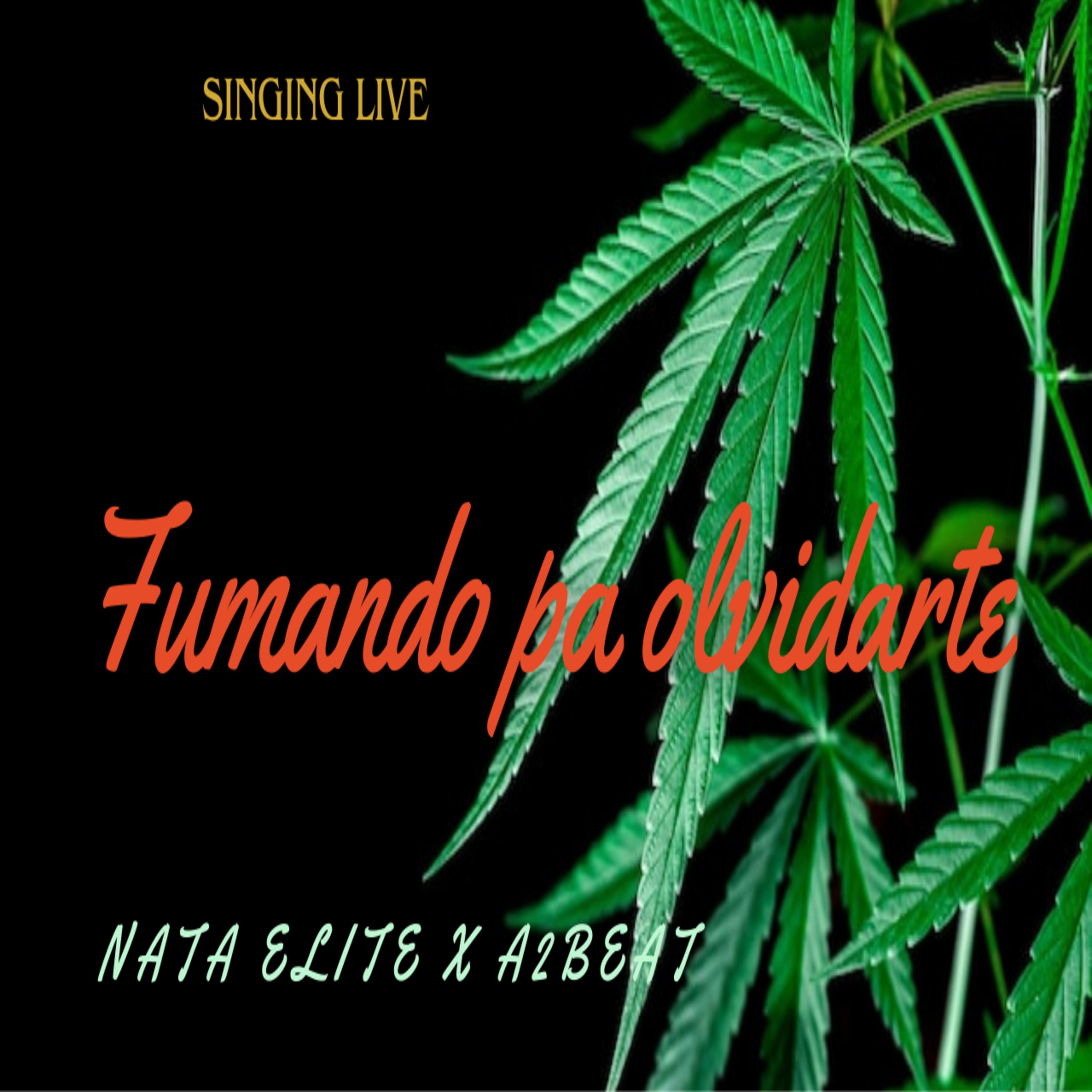 Постер альбома Fumando Pa Olvidarte ( Singinglive )
