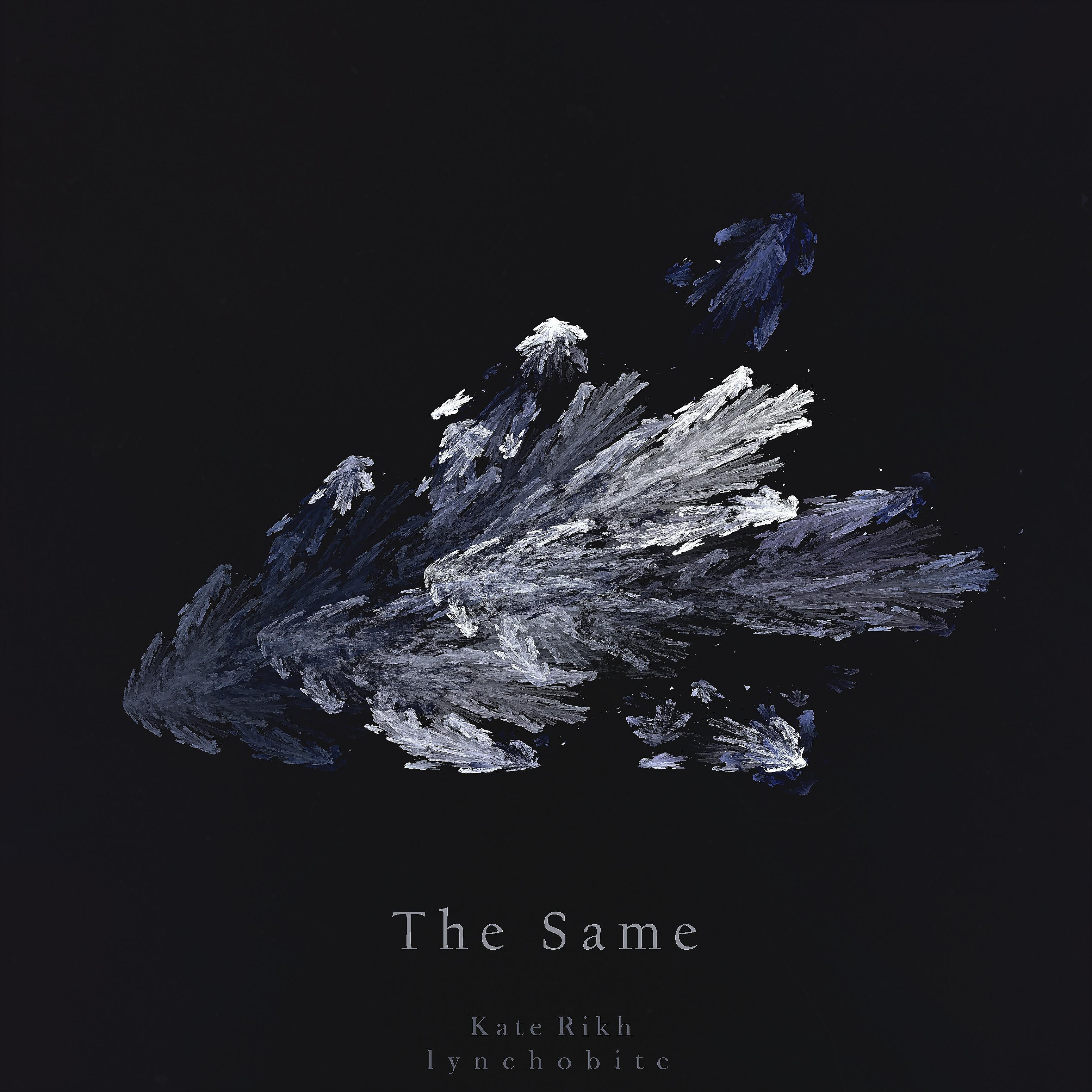 Постер альбома The Same (feat. Kate Rikh)
