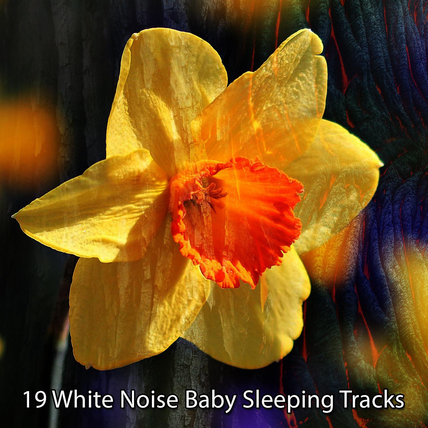 Постер альбома 19 треков для сна с белым шумом