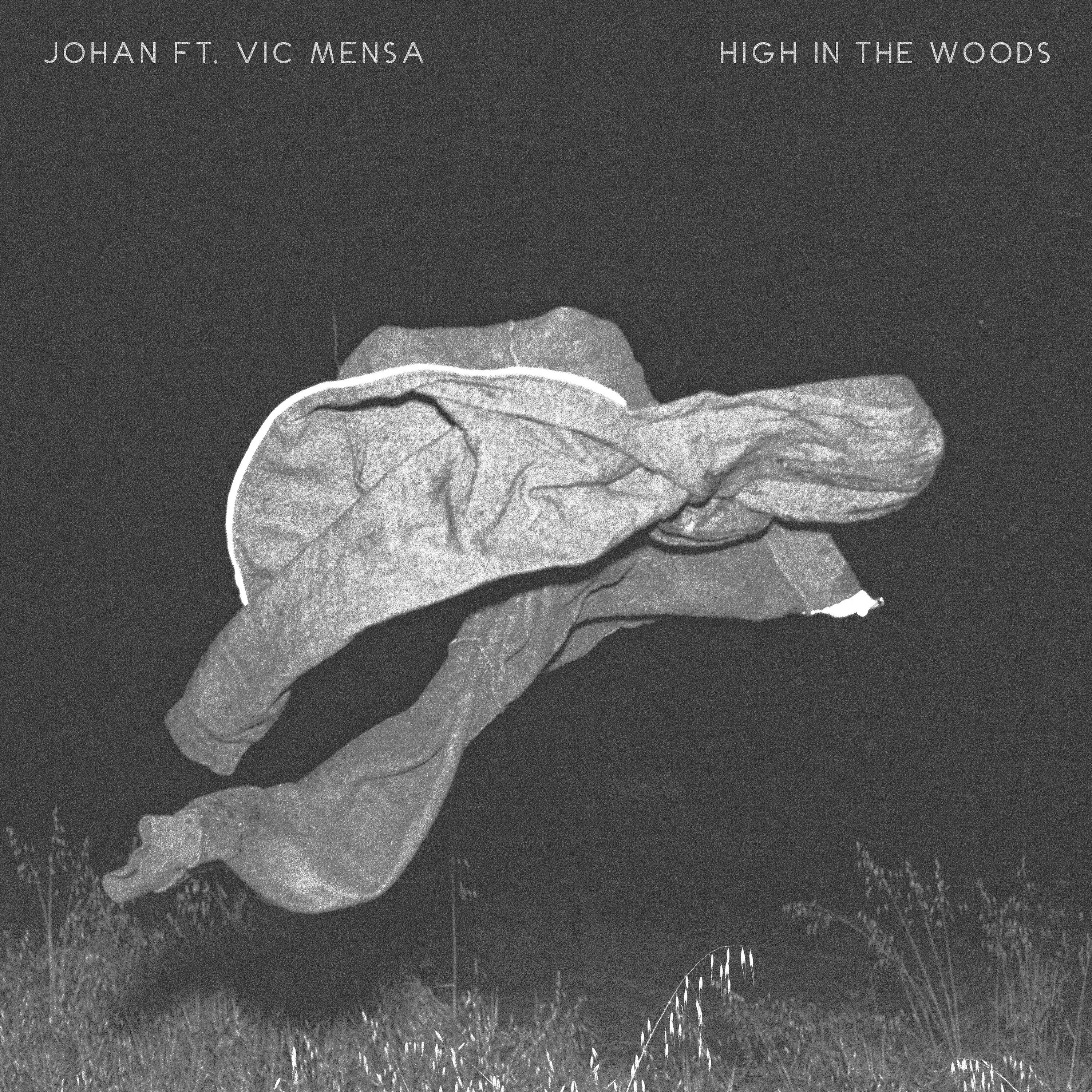 Постер альбома High in the Woods (feat. Vic Mensa)