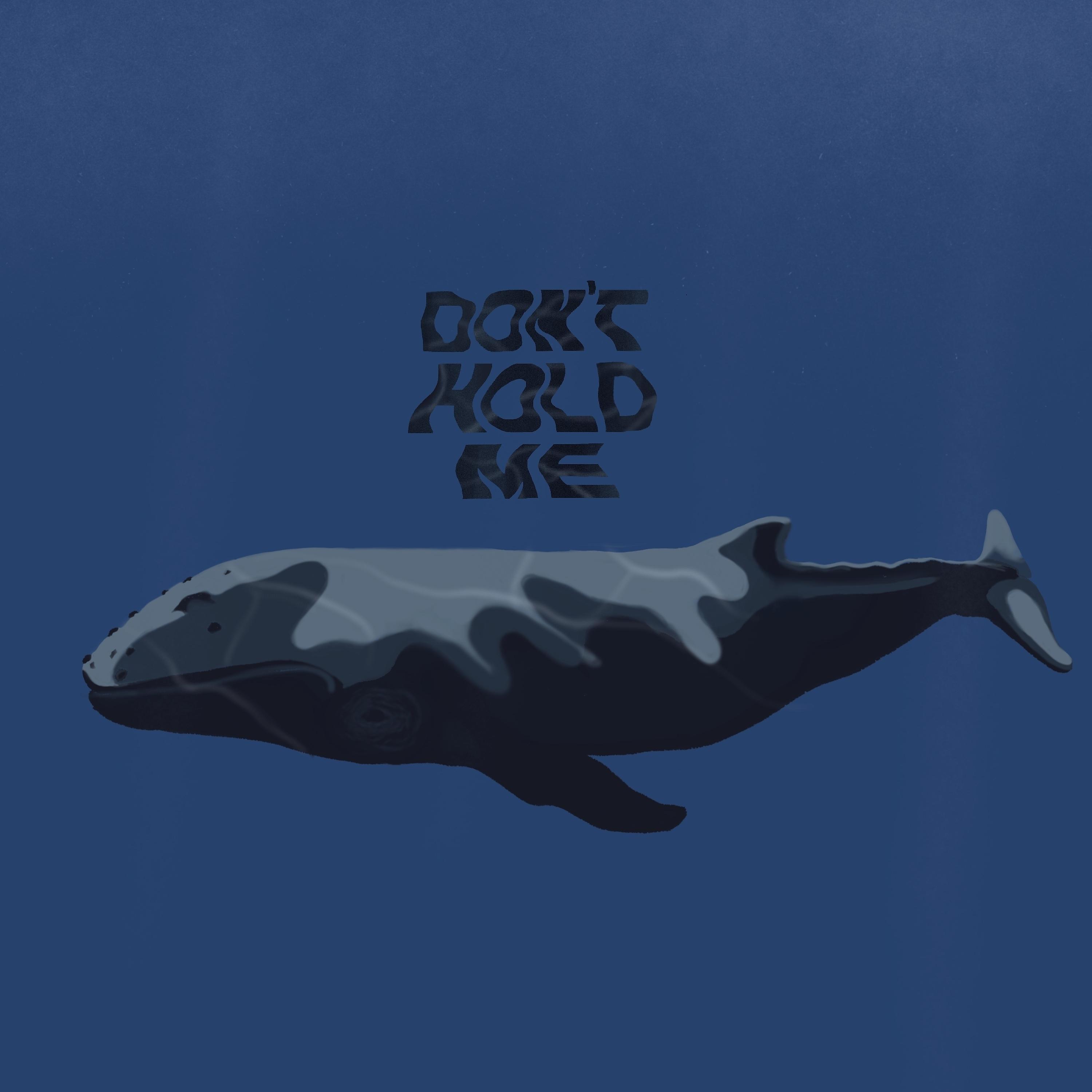 Постер альбома Don't Hold Me (feat. Kamran Kaur)